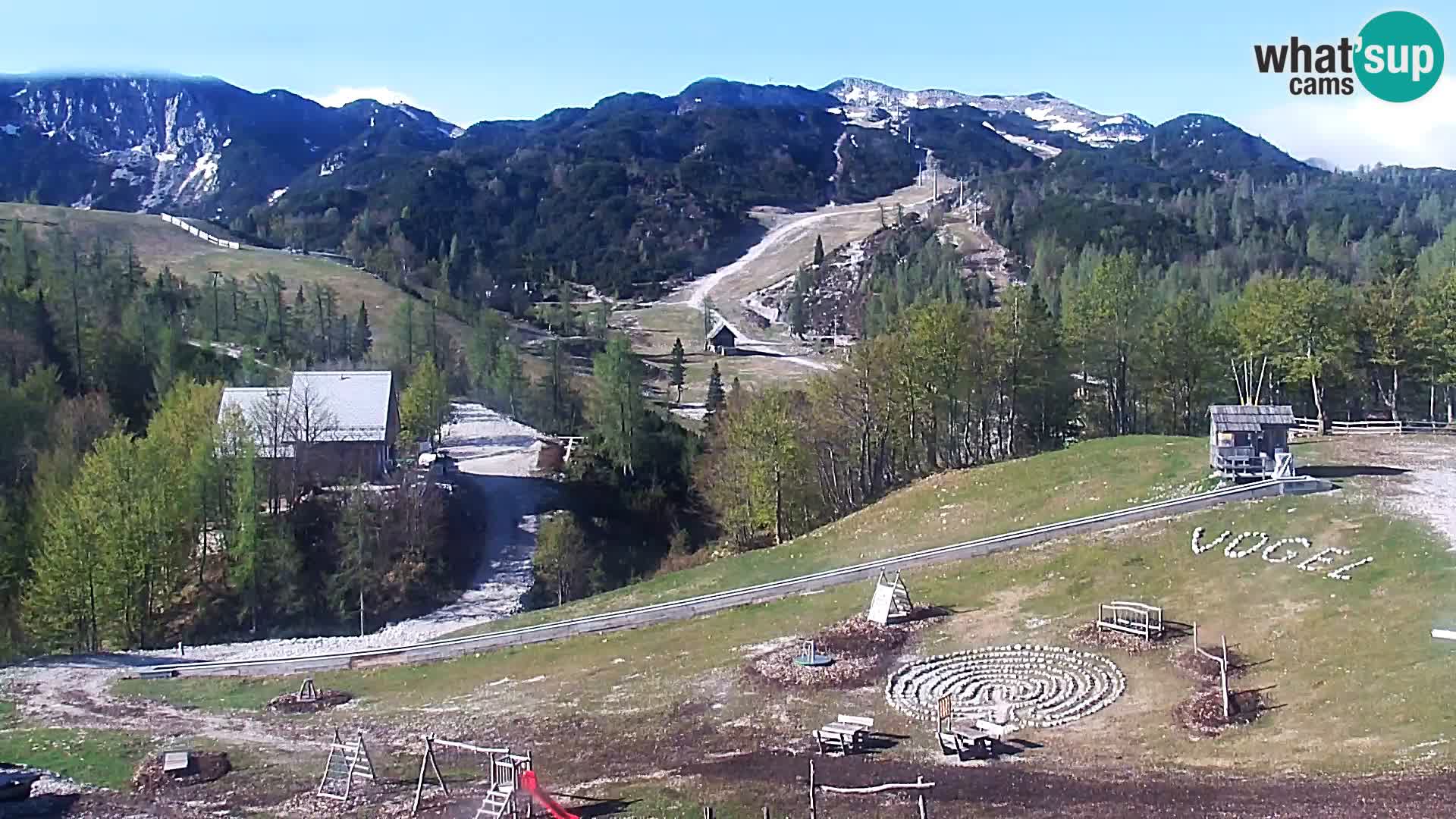 Live cam Station ski Vogel