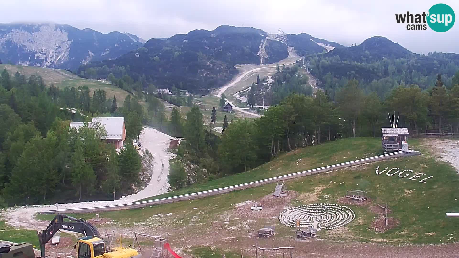 Live cam Station ski Vogel