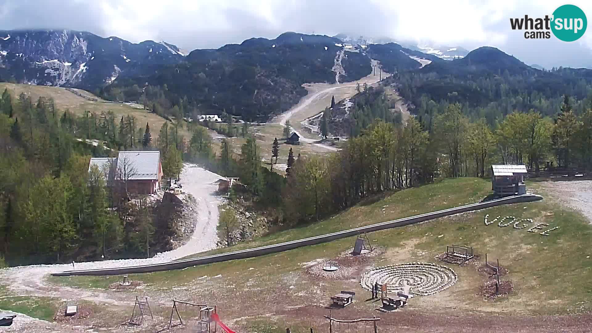 Live cam Station ski Vogel