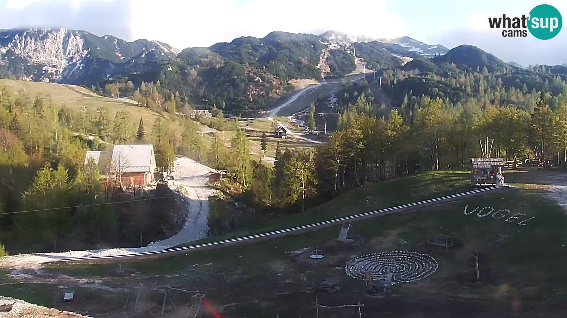 Webcam Ski resort Vogel