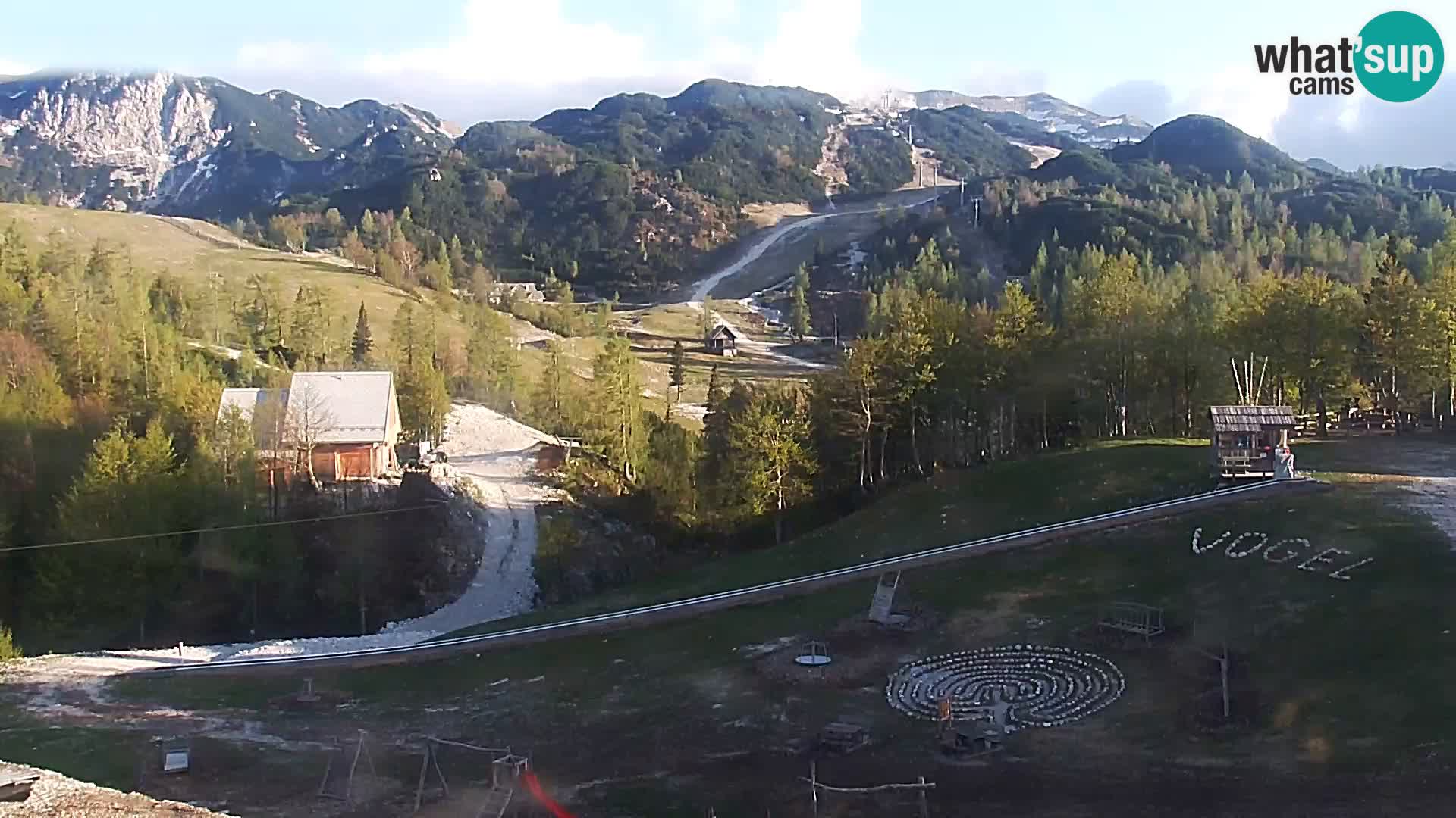 Webcam Skigebiet Vogel