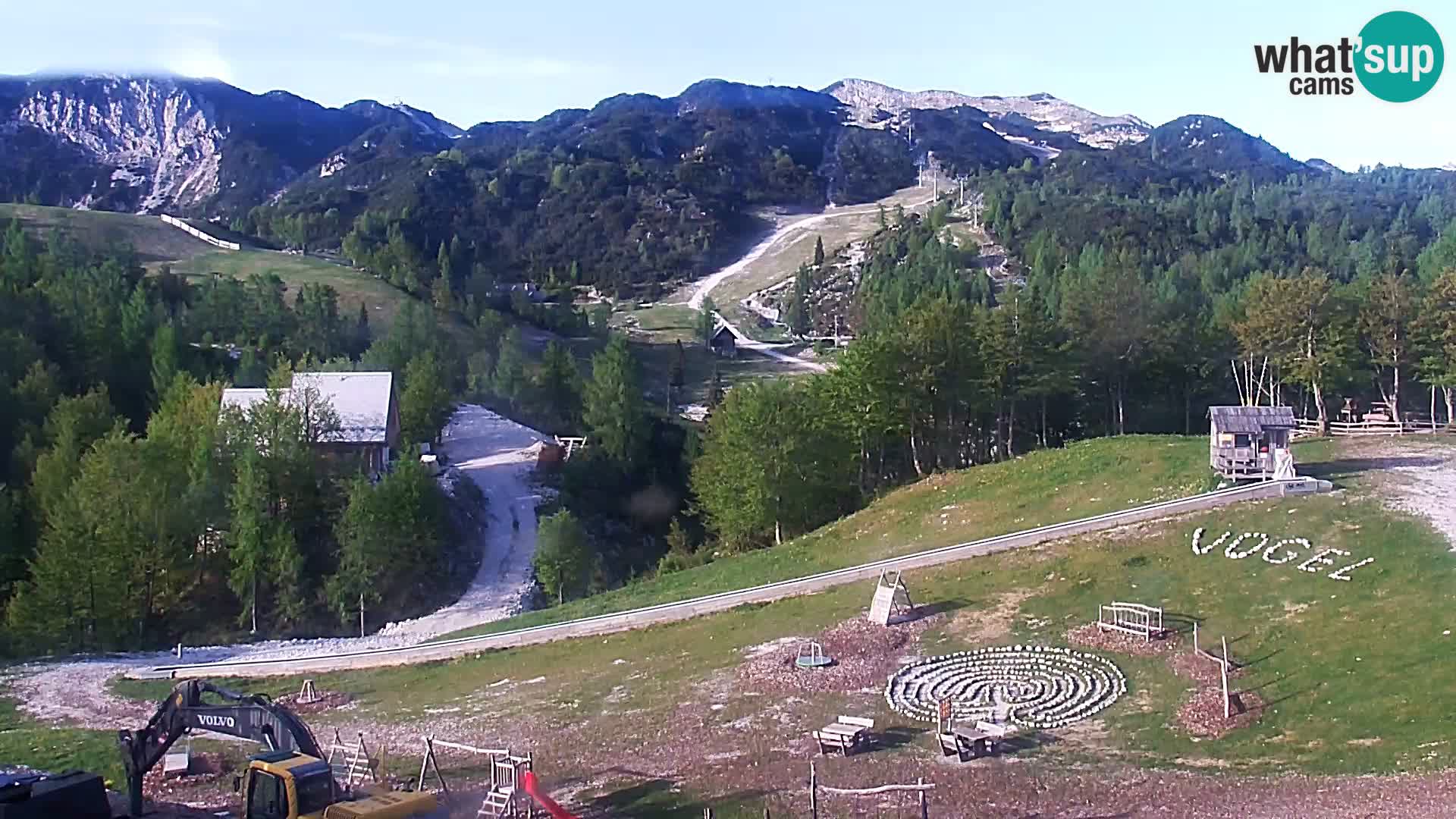 Webcam Ski resort Vogel