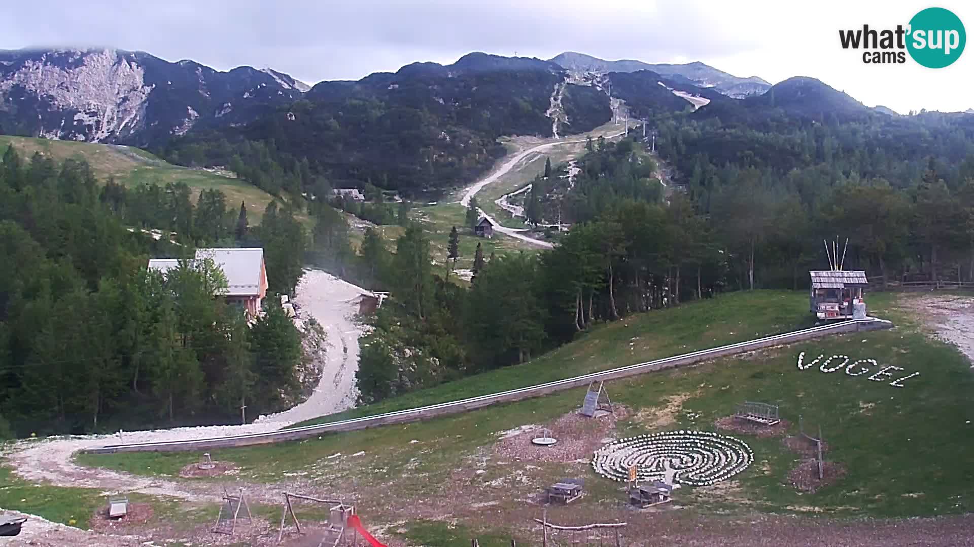 Webcam Skigebiet Vogel