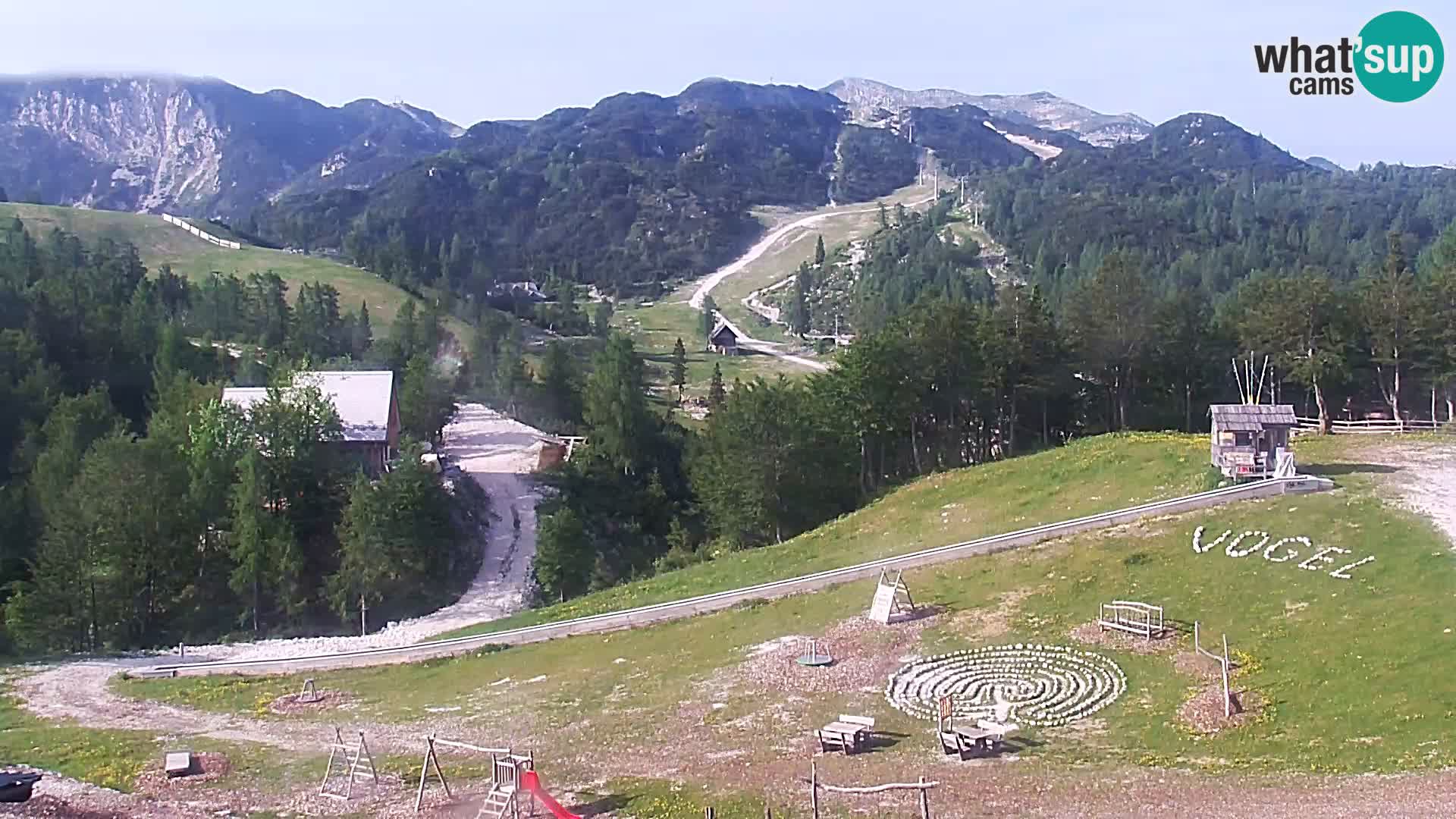 Webcam Skigebiet Vogel