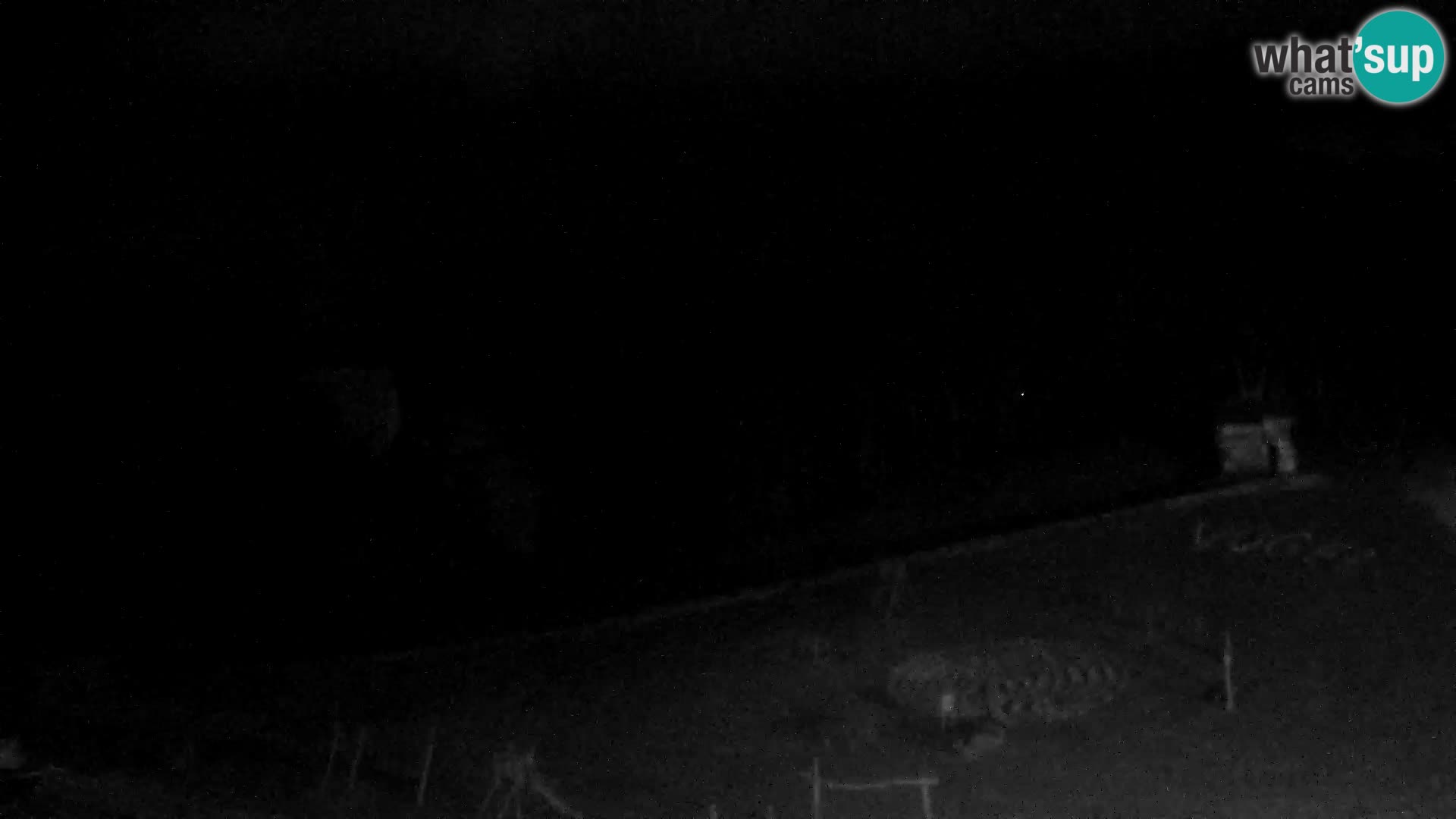 Live cam Station ski Vogel