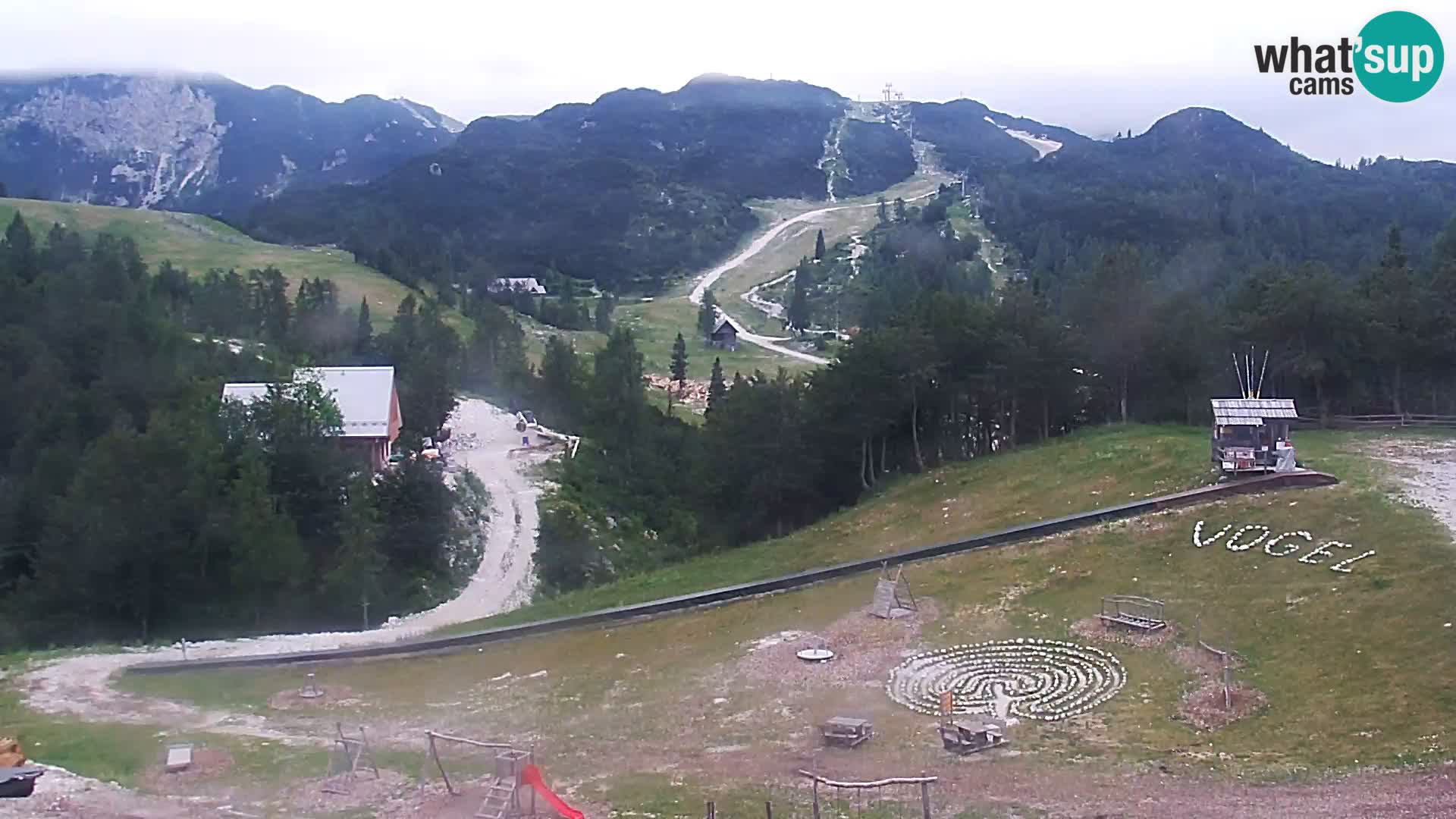 Webcam Skigebiet Vogel
