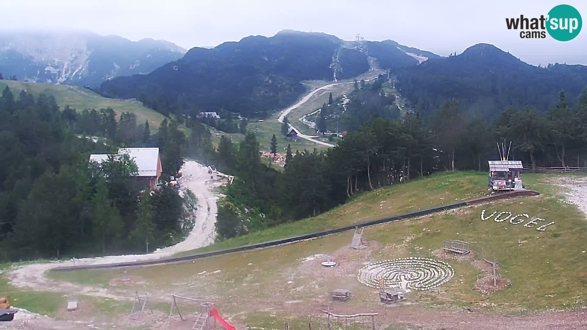 Live cam Station ski Vogel