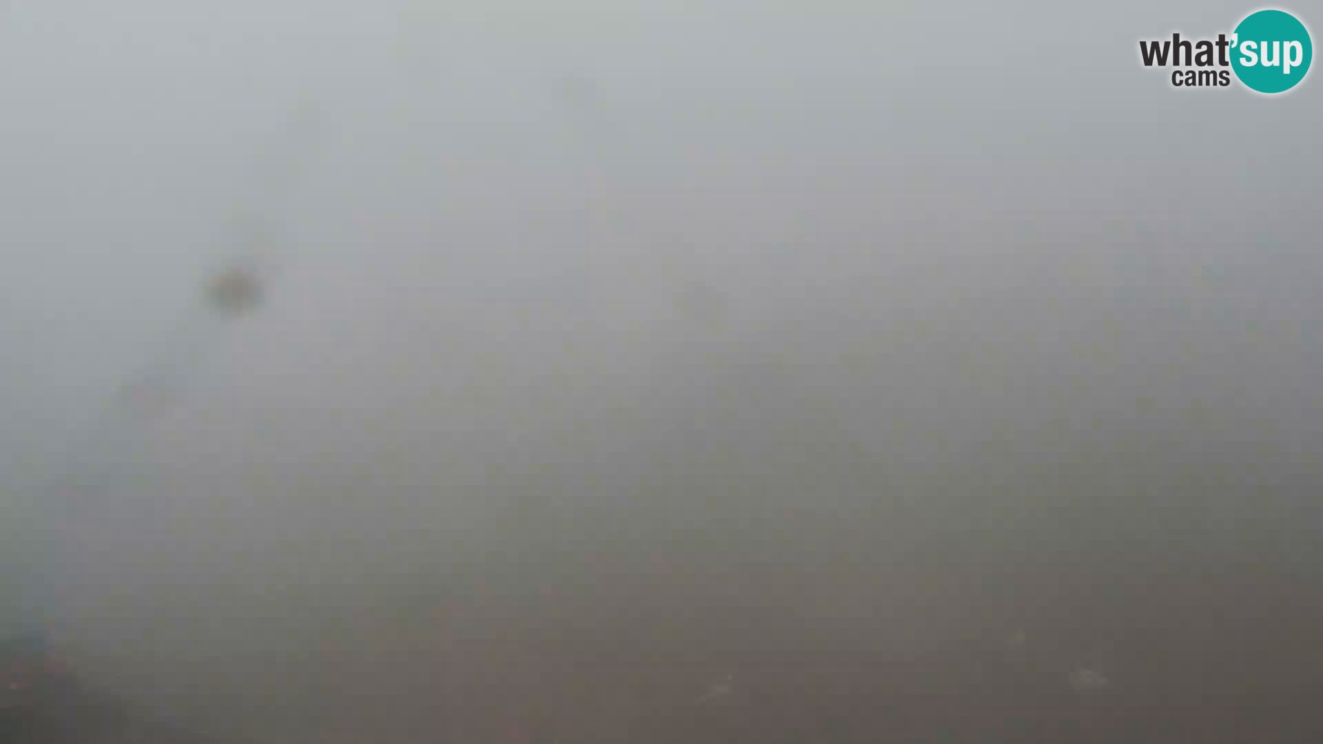 Webcam Ski resort Vogel
