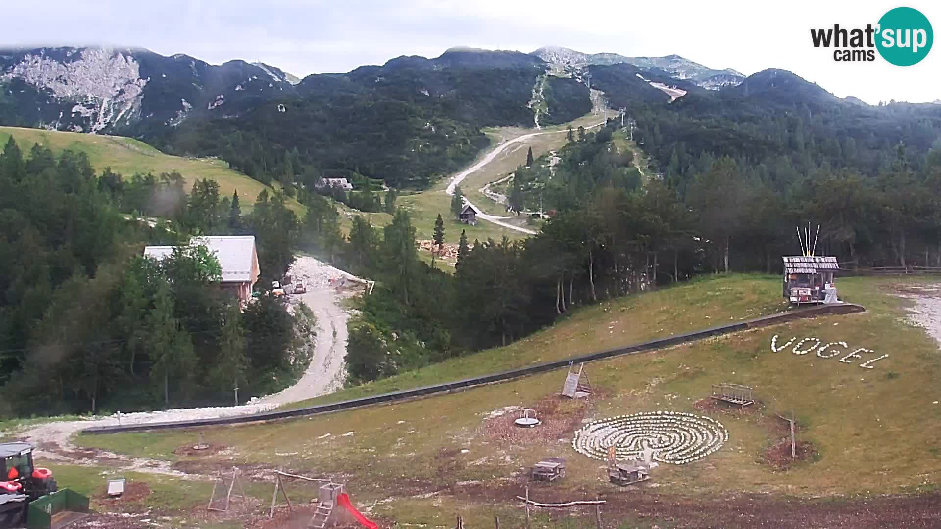 Live cam Station ski Vogel