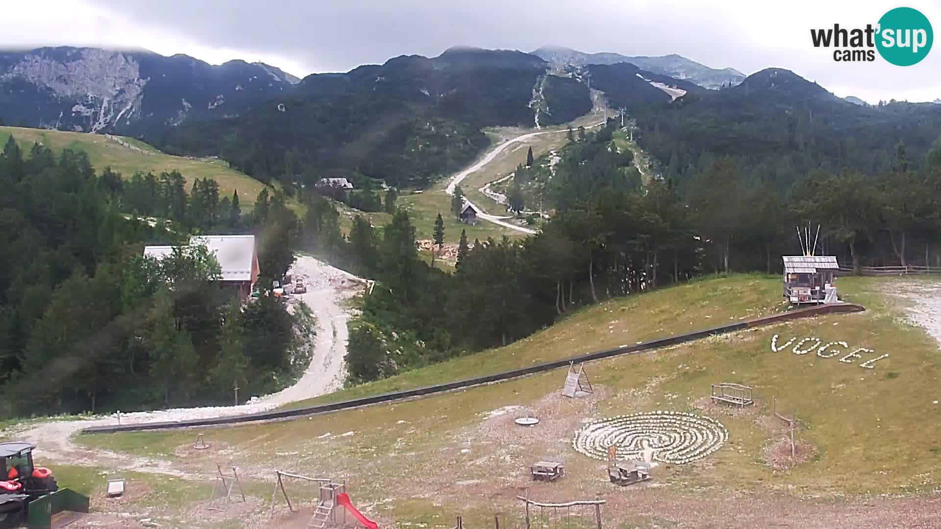 Live cam Station ski Vogel