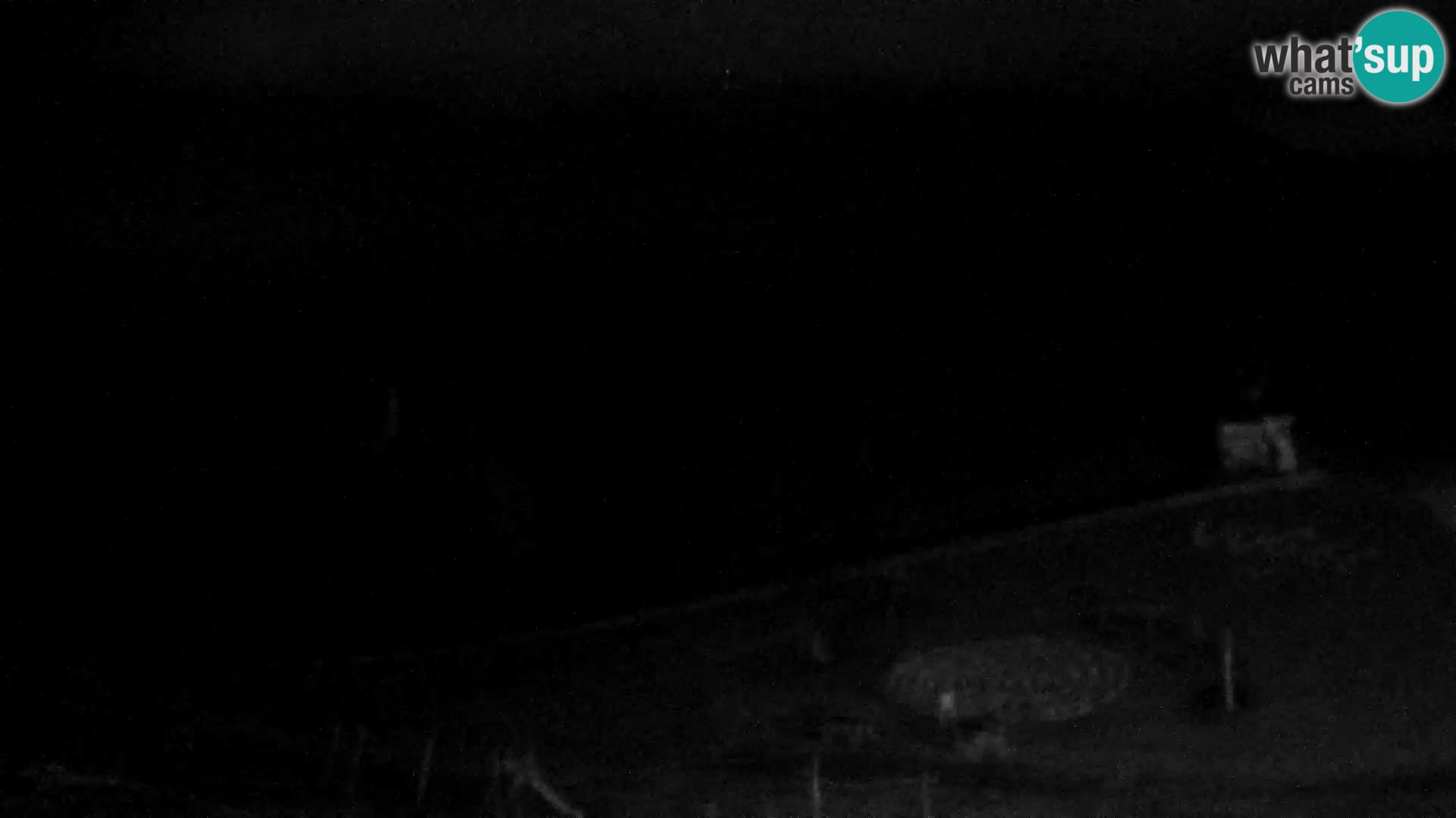 Live cam Station ski Vogel