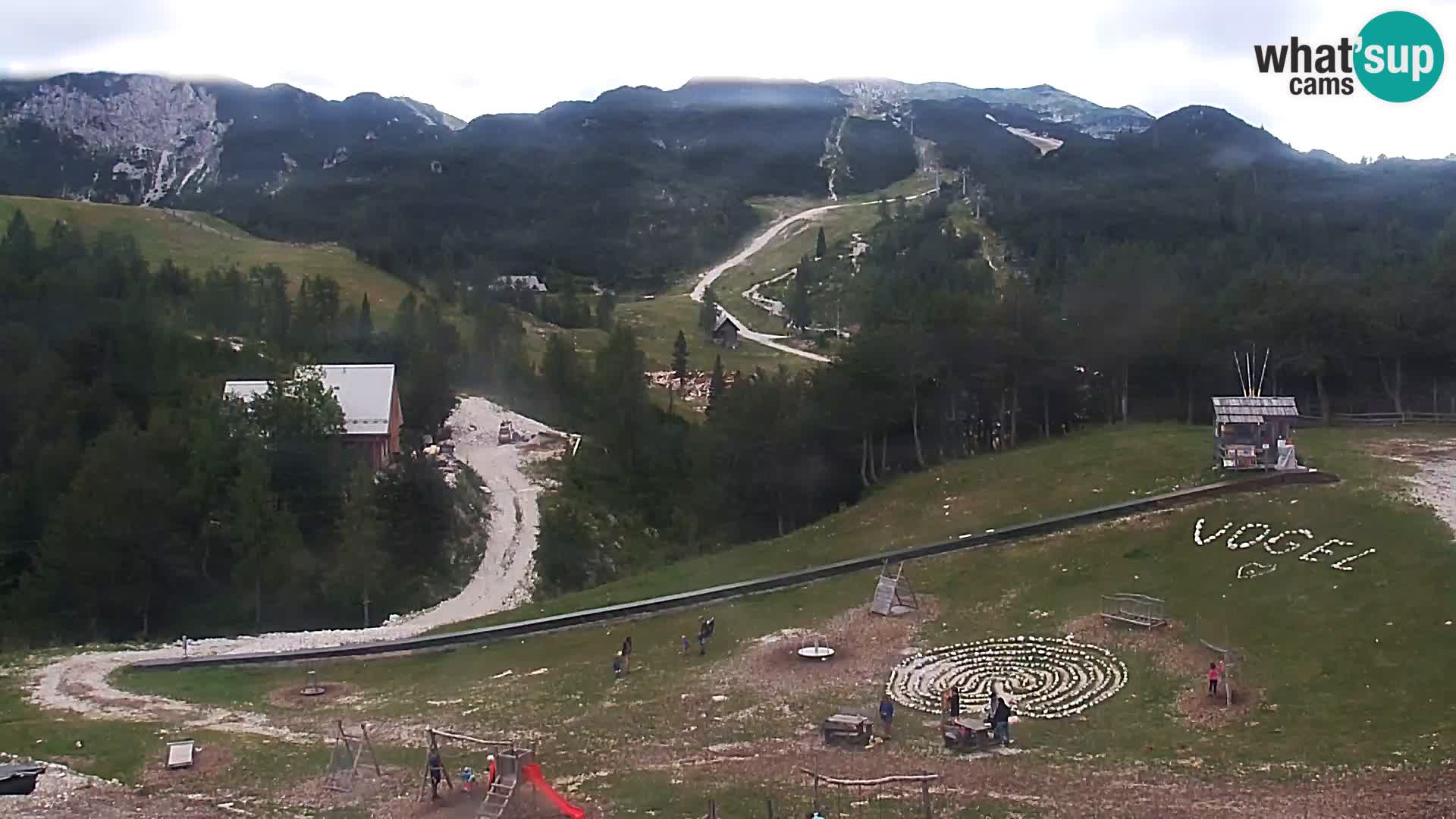 Live cam Station ski Vogel