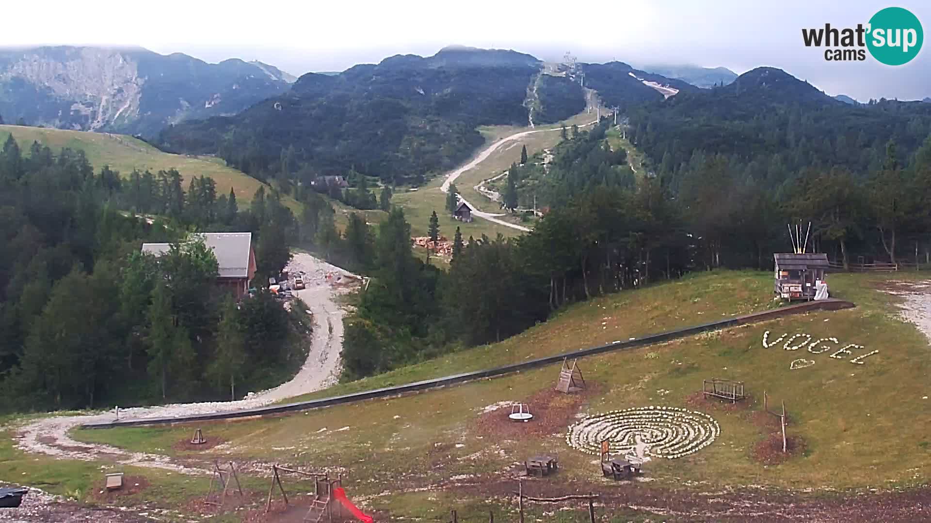Webcam Skigebiet Vogel