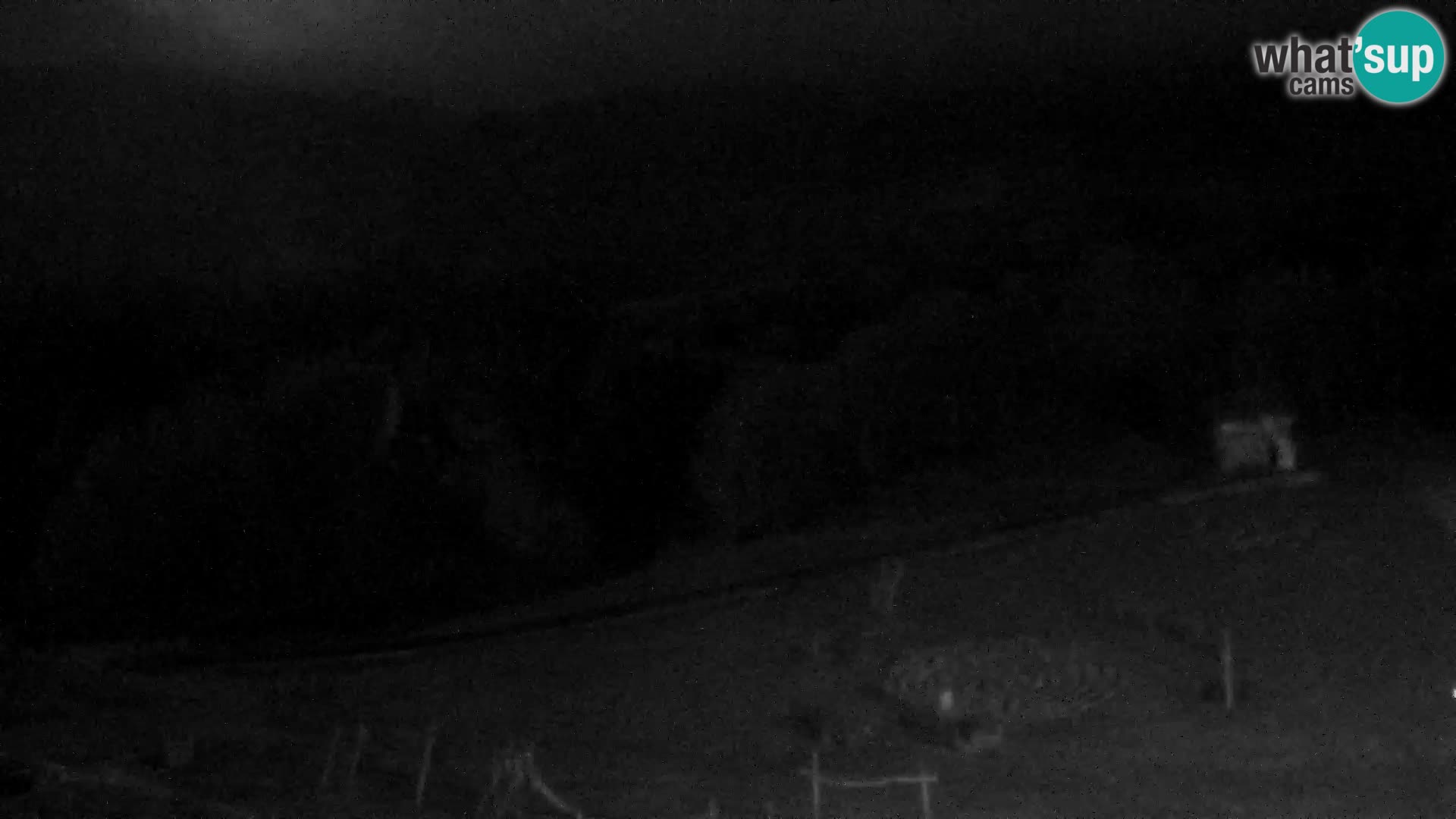 Webcam Skigebiet Vogel
