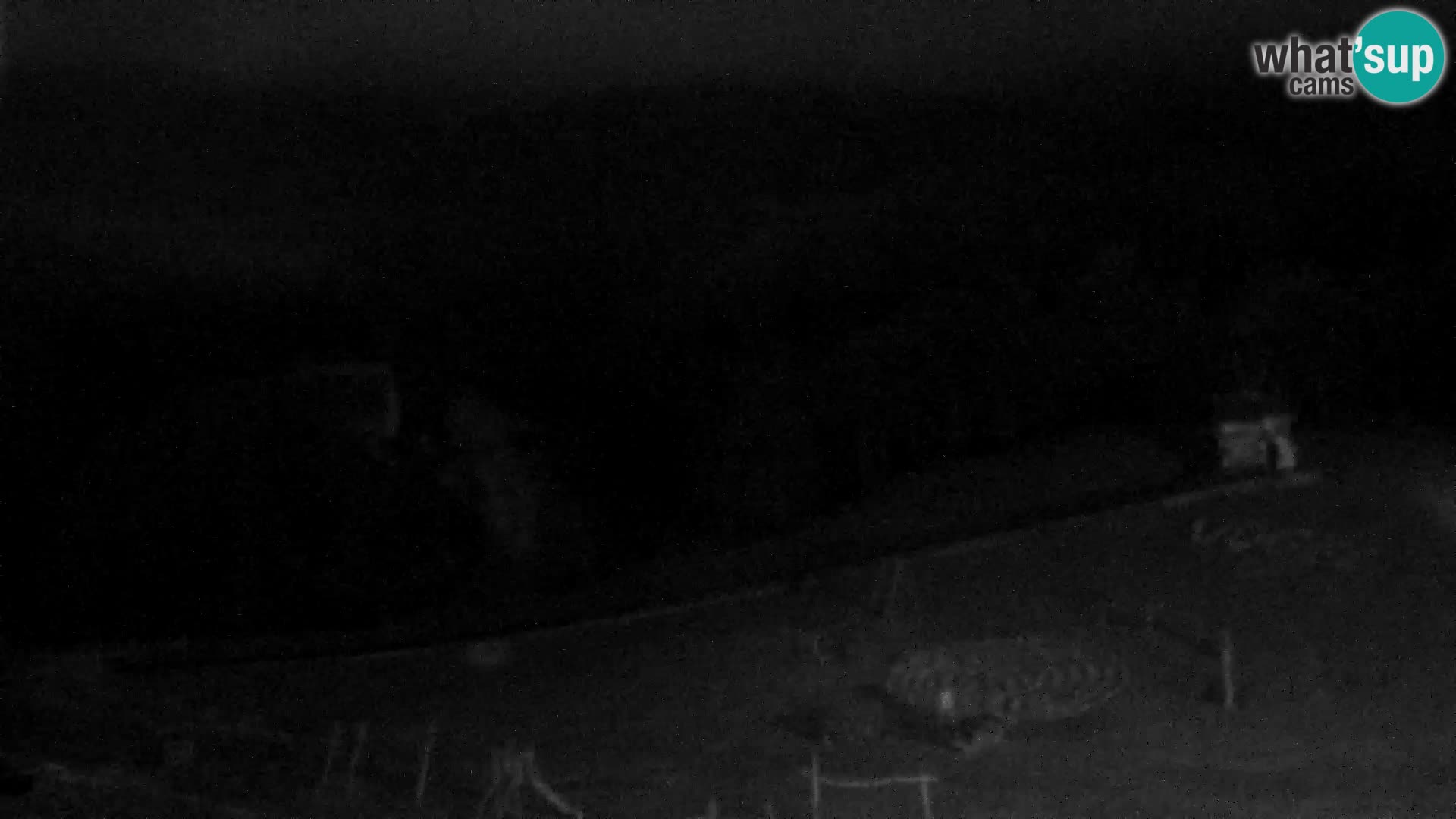 Live cam Station ski Vogel