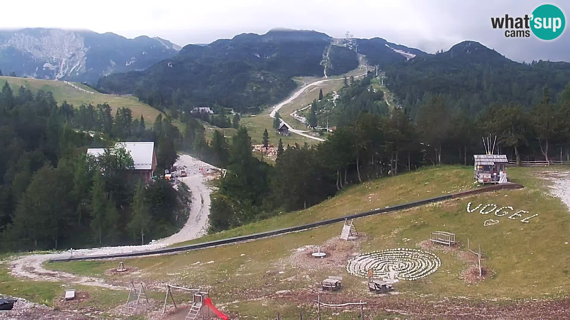 Webcam Skigebiet Vogel