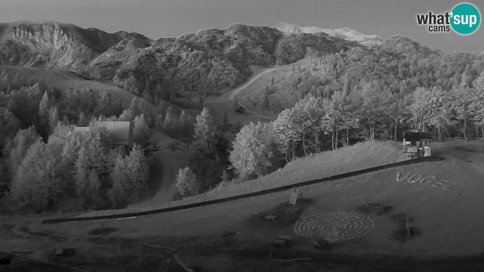 Live cam Station ski Vogel