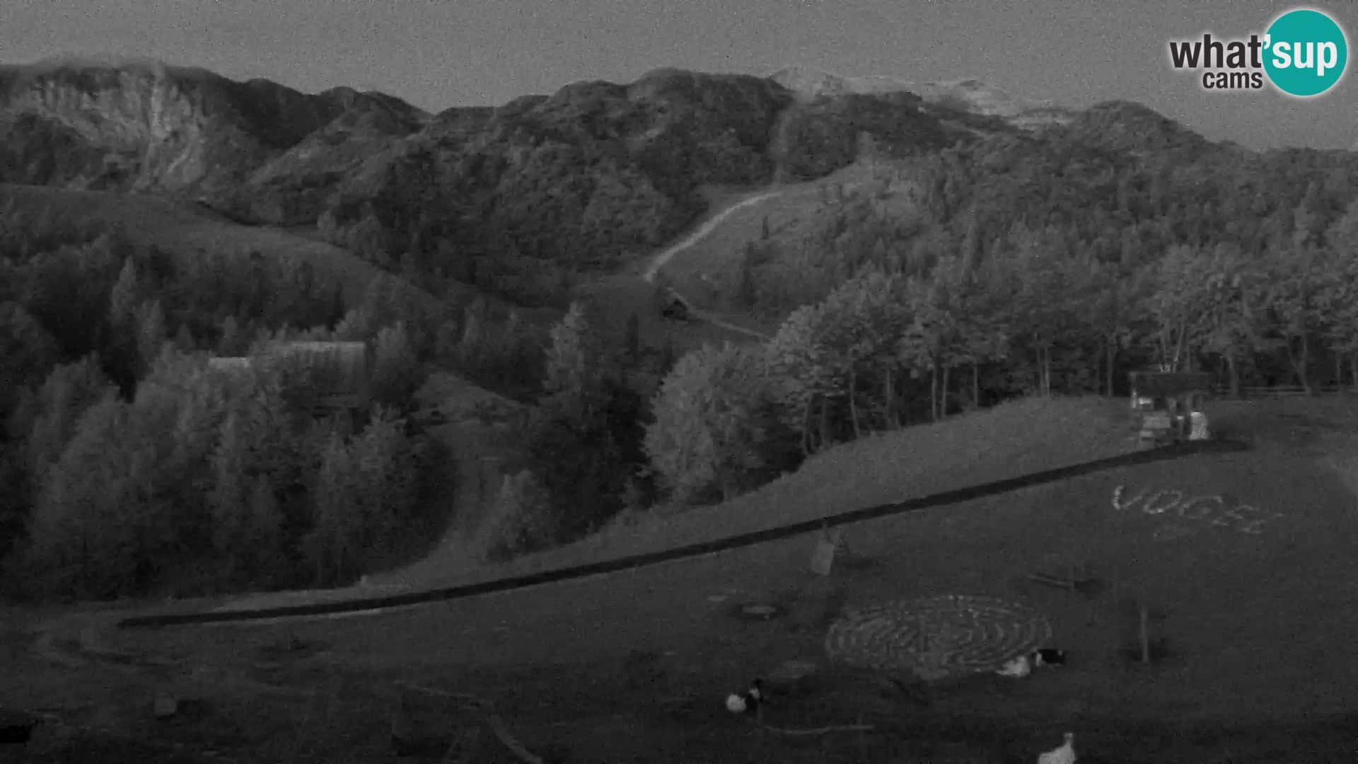 Live cam Station ski Vogel