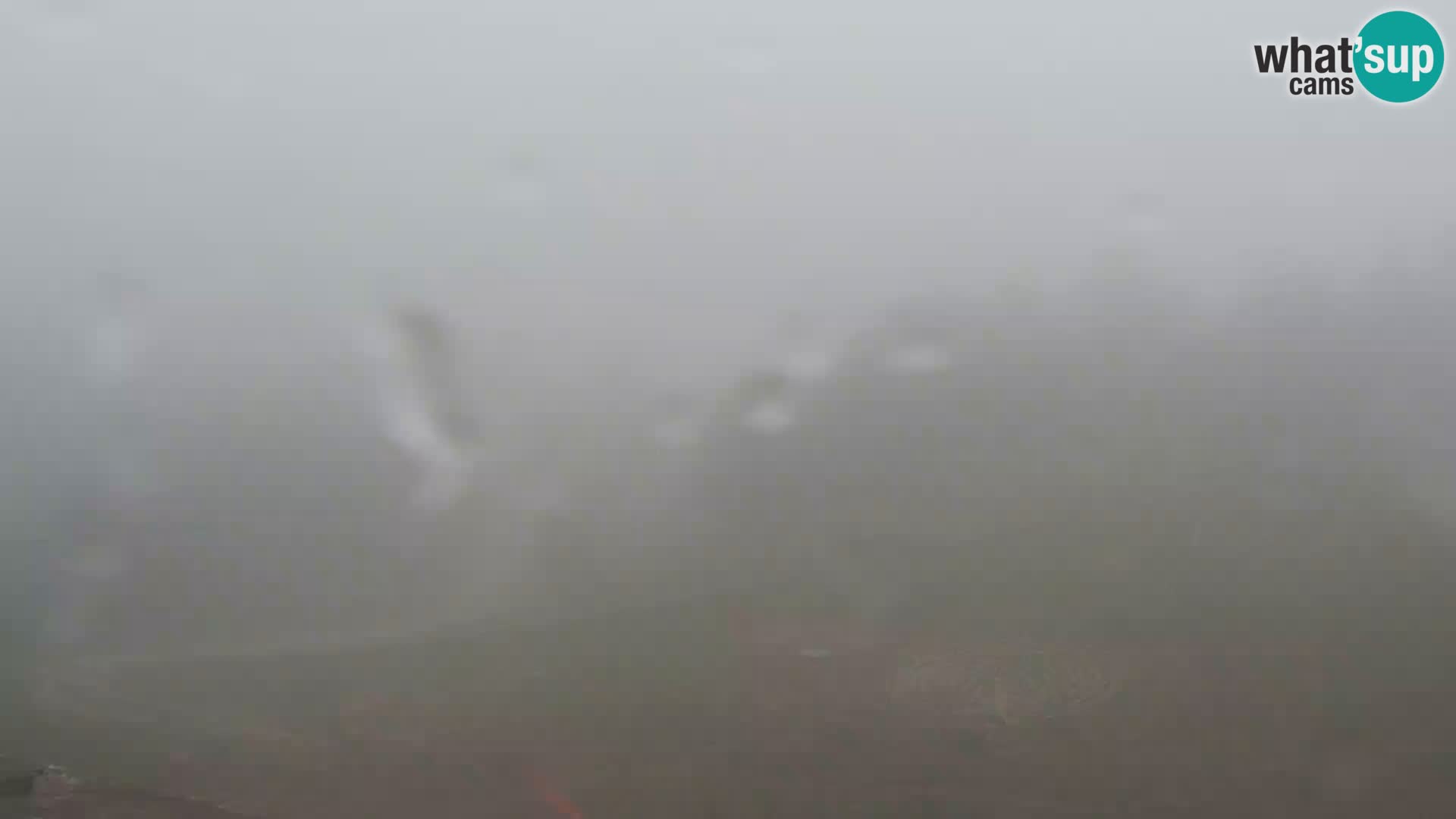 Webcam Stazione sciistica Vogel
