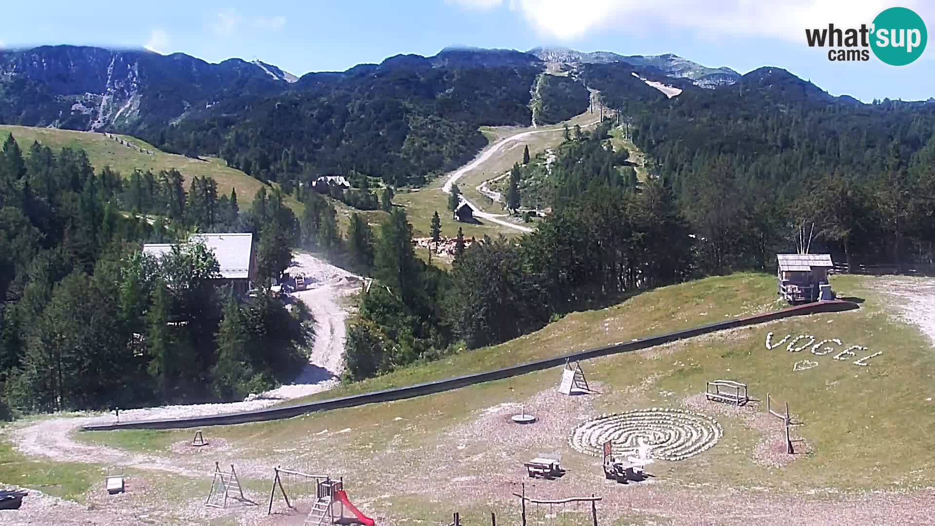 Live cam Station ski Vogel