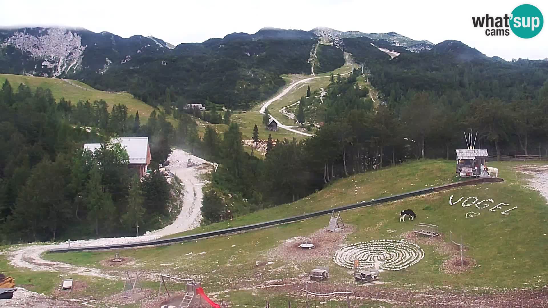 Webcam Stazione sciistica Vogel