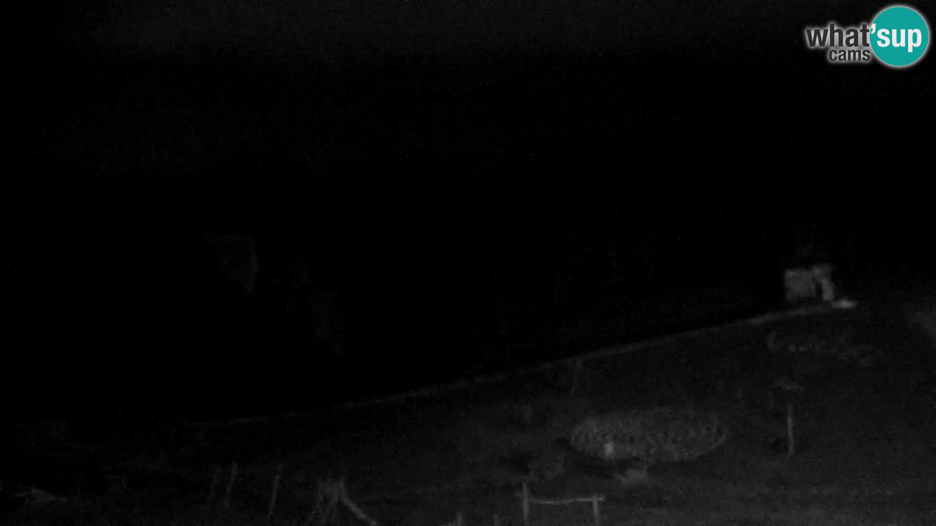 Webcam Skigebiet Vogel