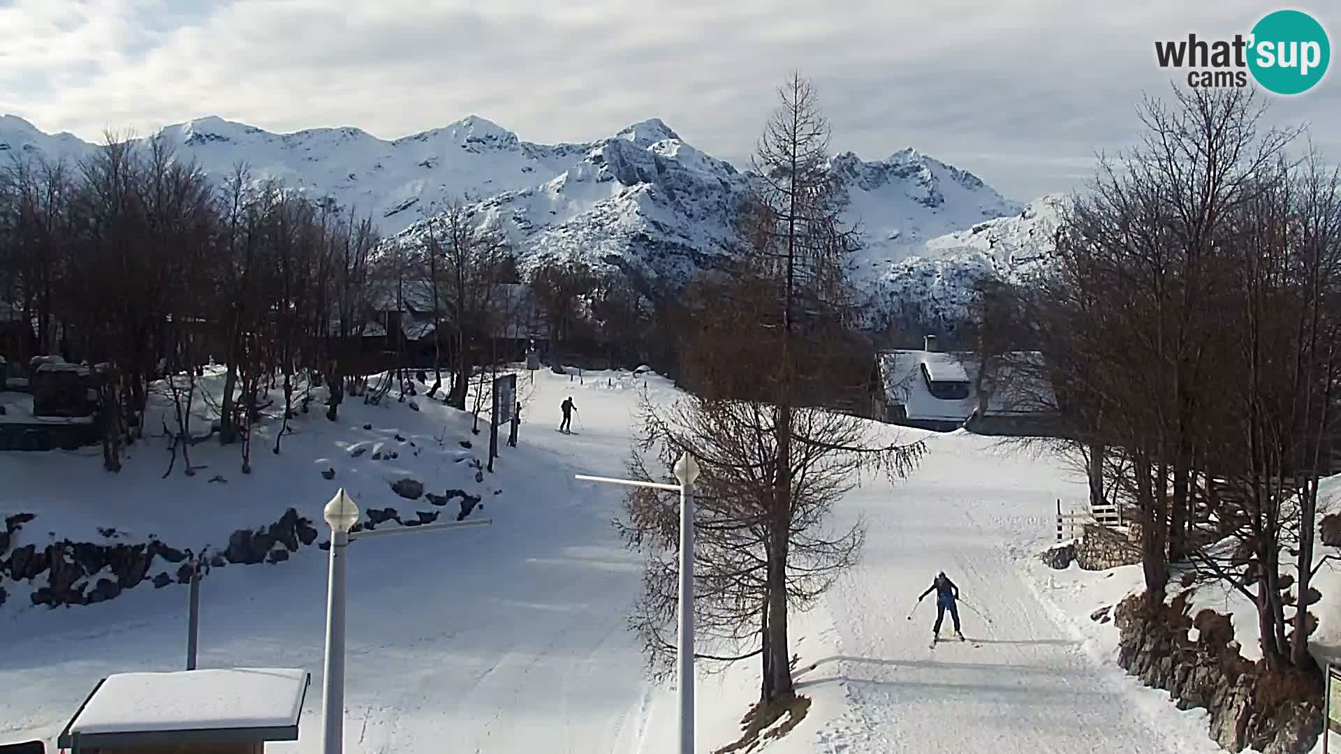 Live cam Station ski Vogel