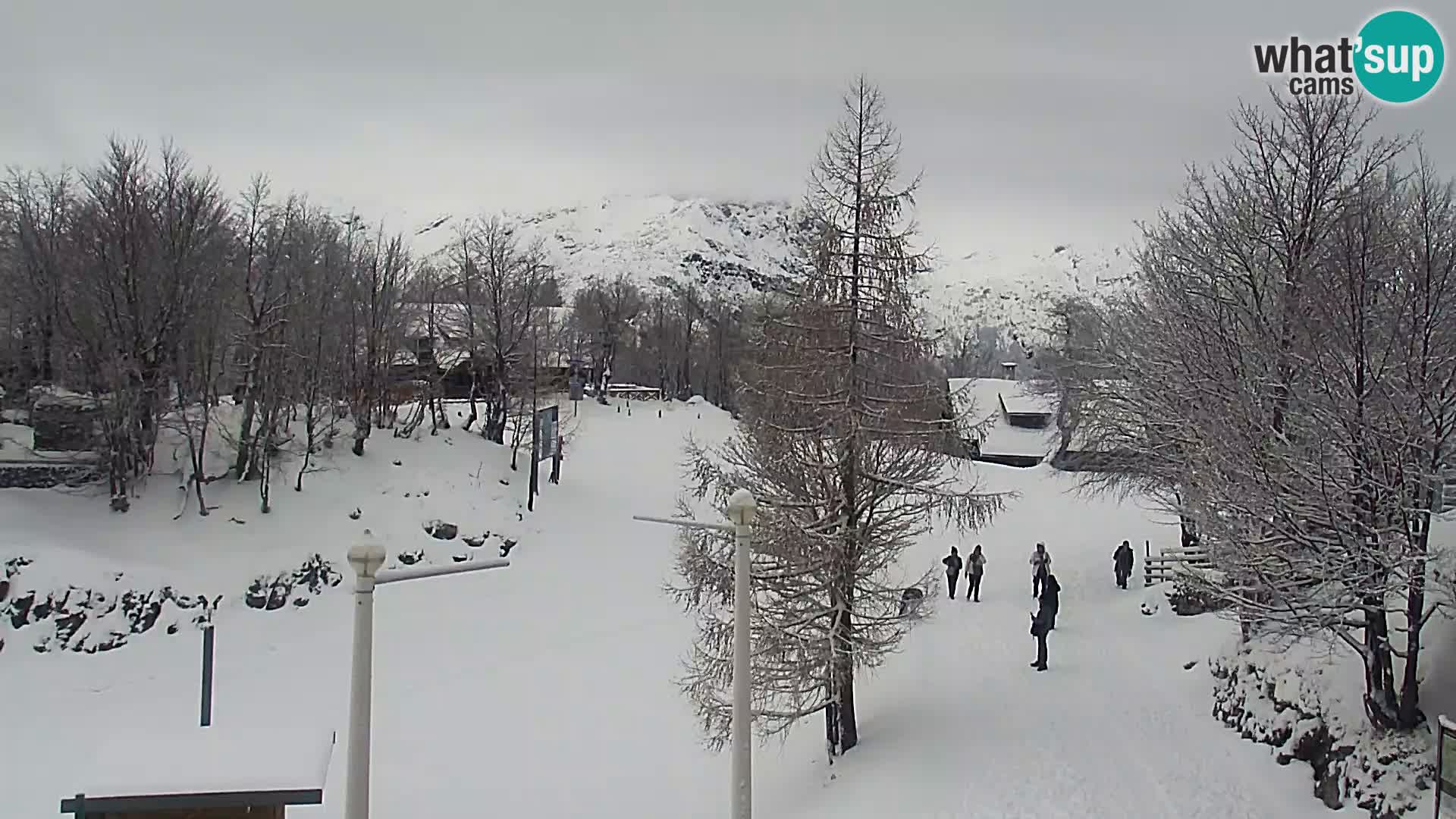 Webcam Skigebiet Vogel