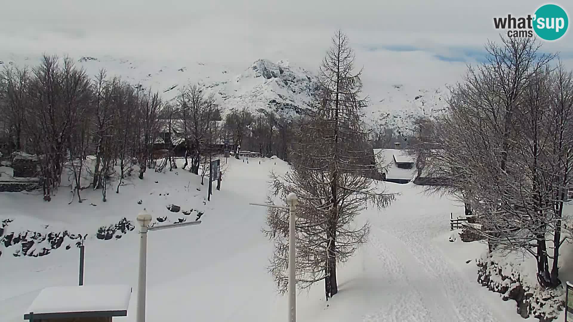 Webcam Ski resort Vogel