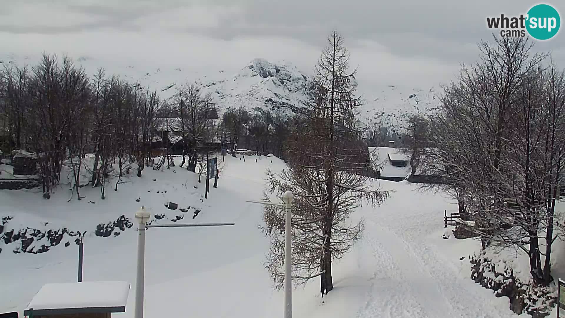 Live cam Station ski Vogel