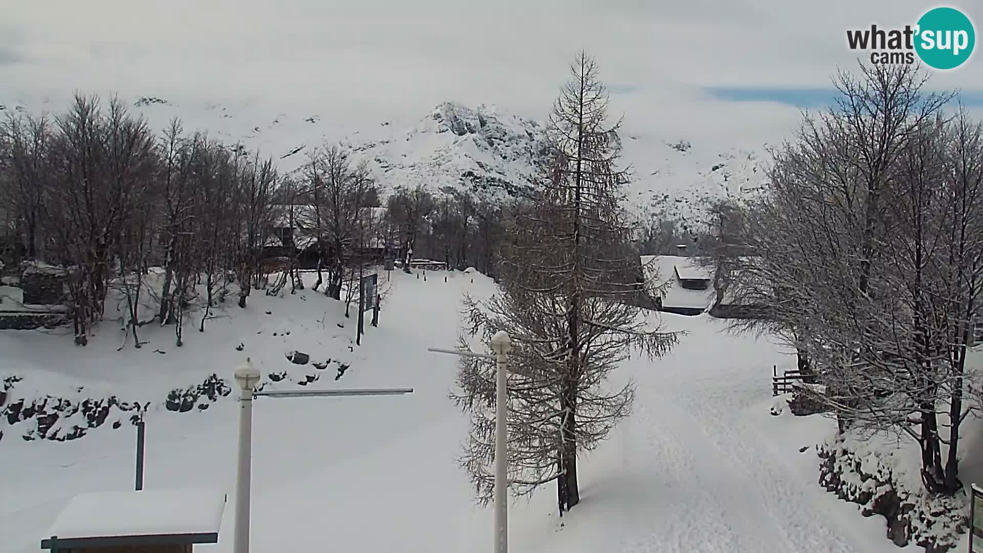 Webcam Stazione sciistica Vogel