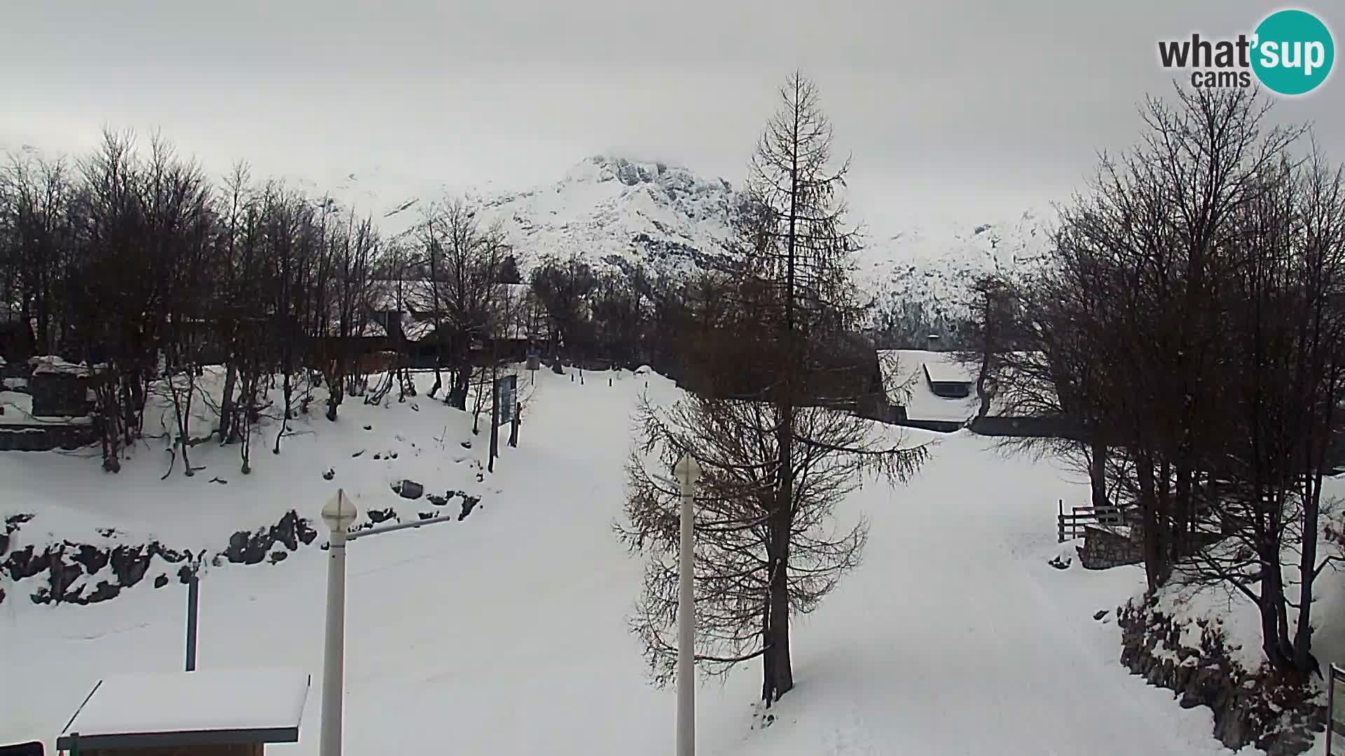 Webcam Stazione sciistica Vogel