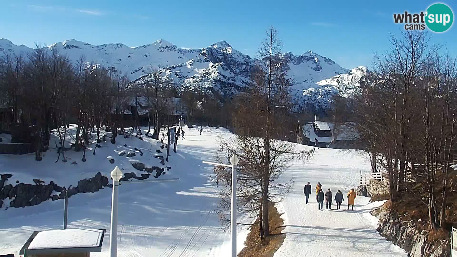 Webcam Ski resort Vogel