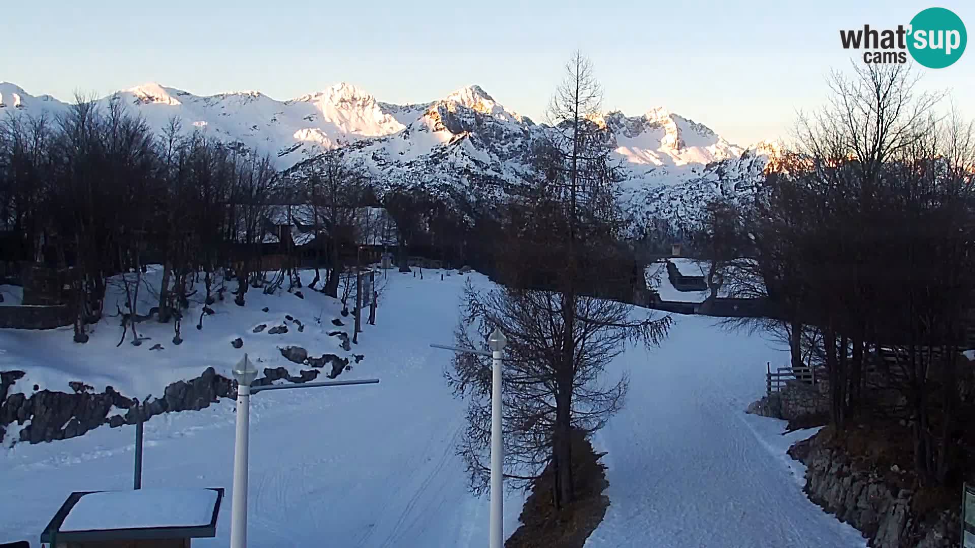Live cam Station ski Vogel