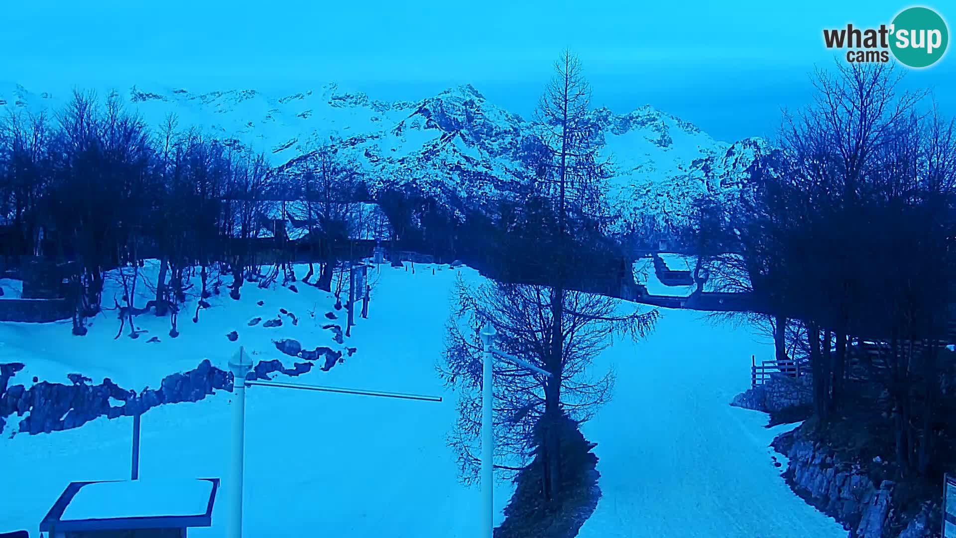Live cam Station ski Vogel