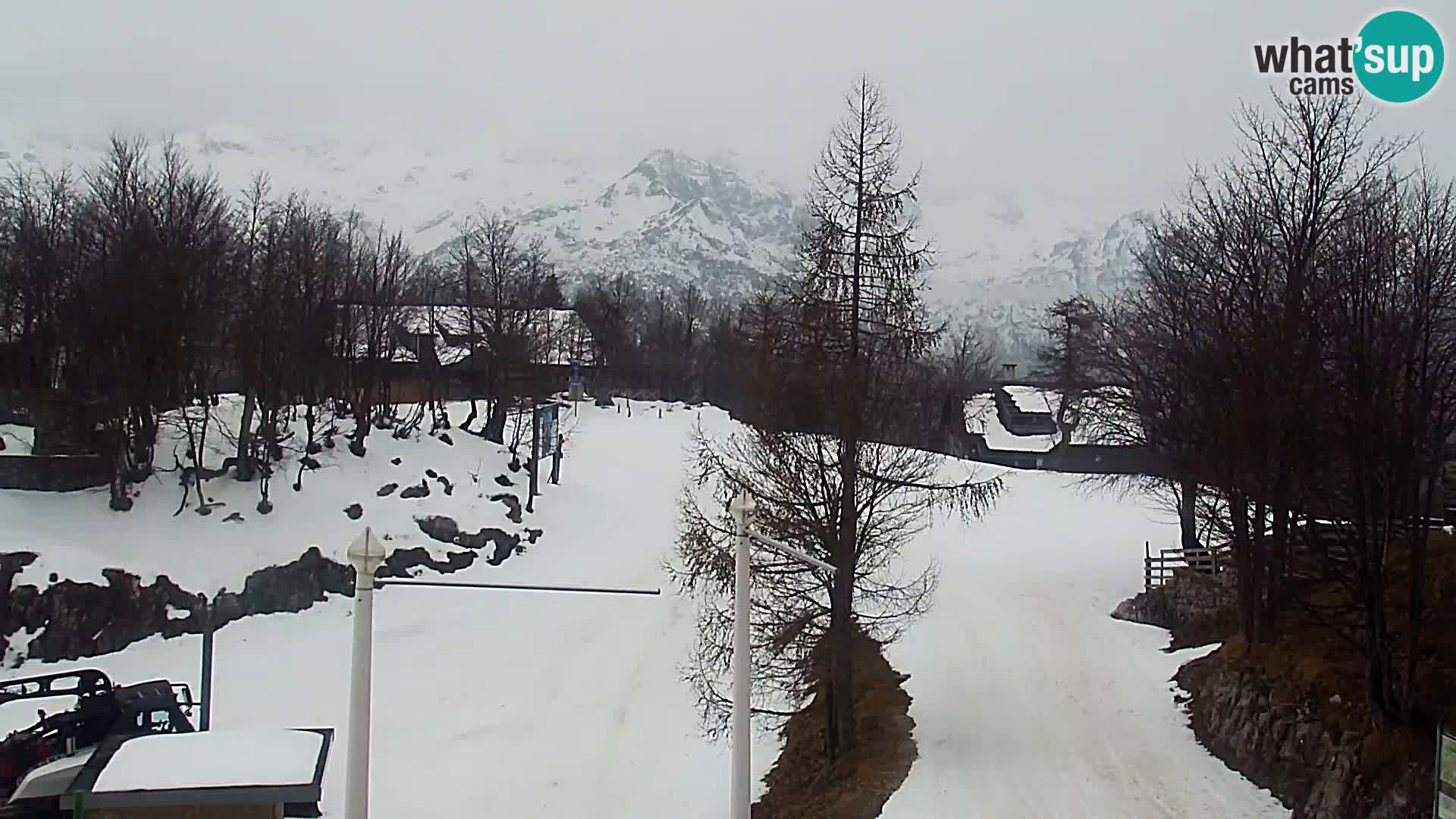 Webcam Ski resort Vogel