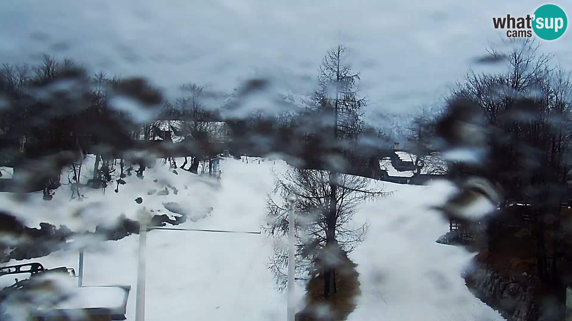 Live cam Station ski Vogel