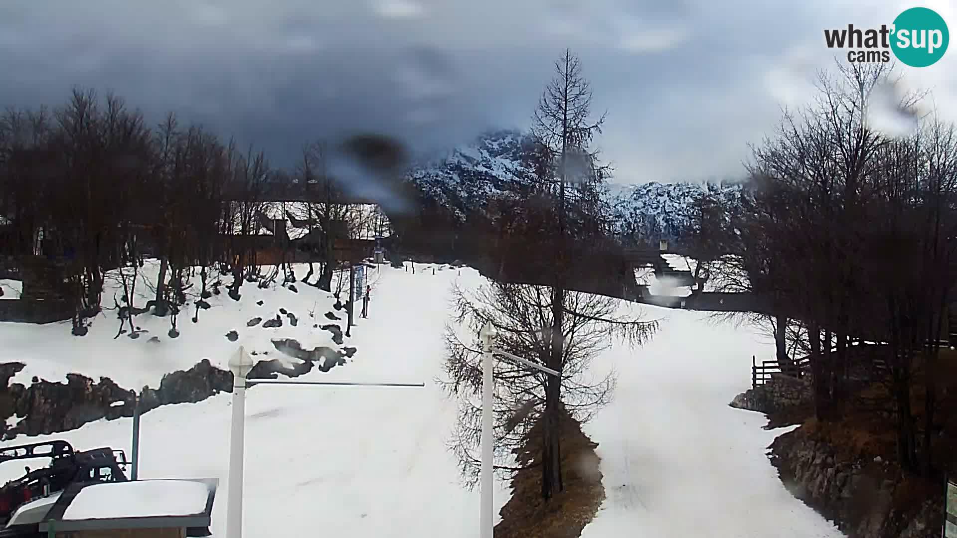 Webcam Skigebiet Vogel