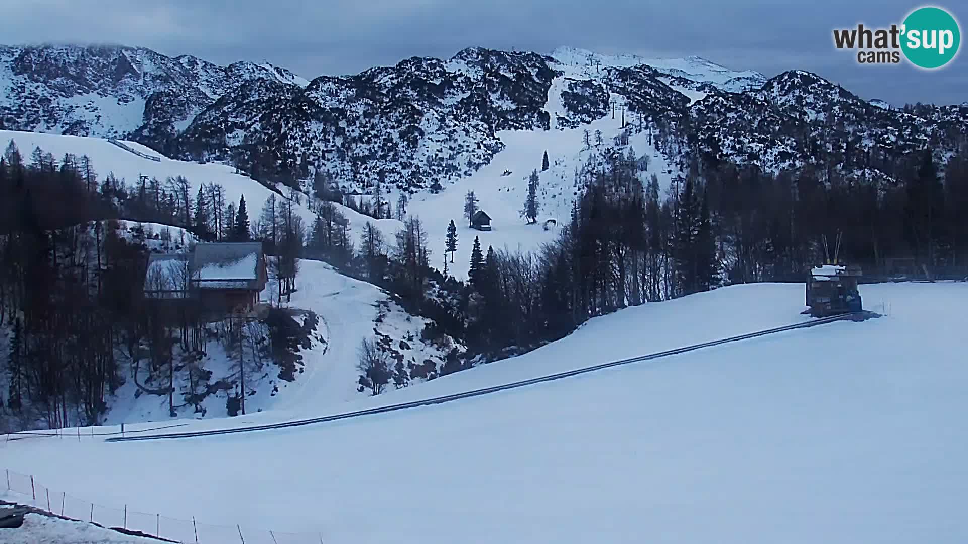 Spletna kamera Smučišče Kamera v zivo Vogel – postaja nihalke