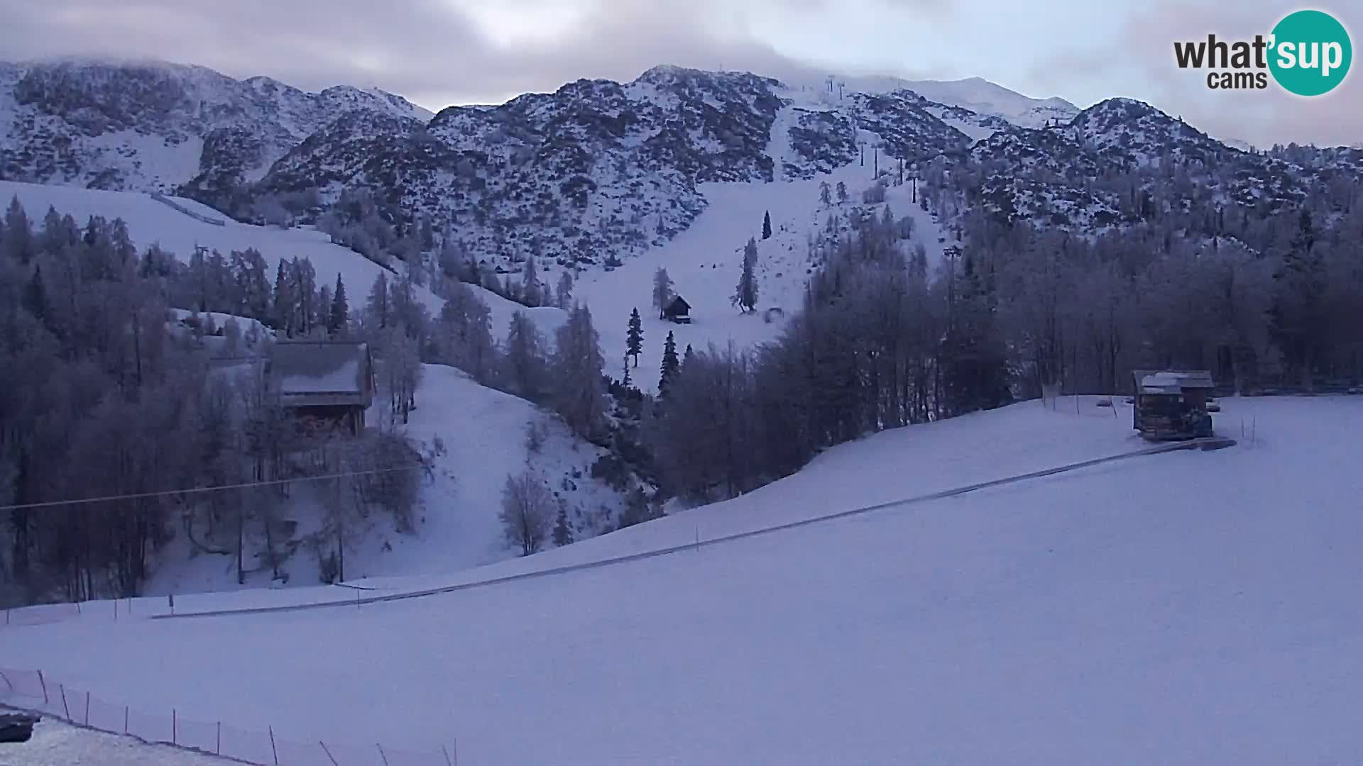 Live cam Station ski Vogel
