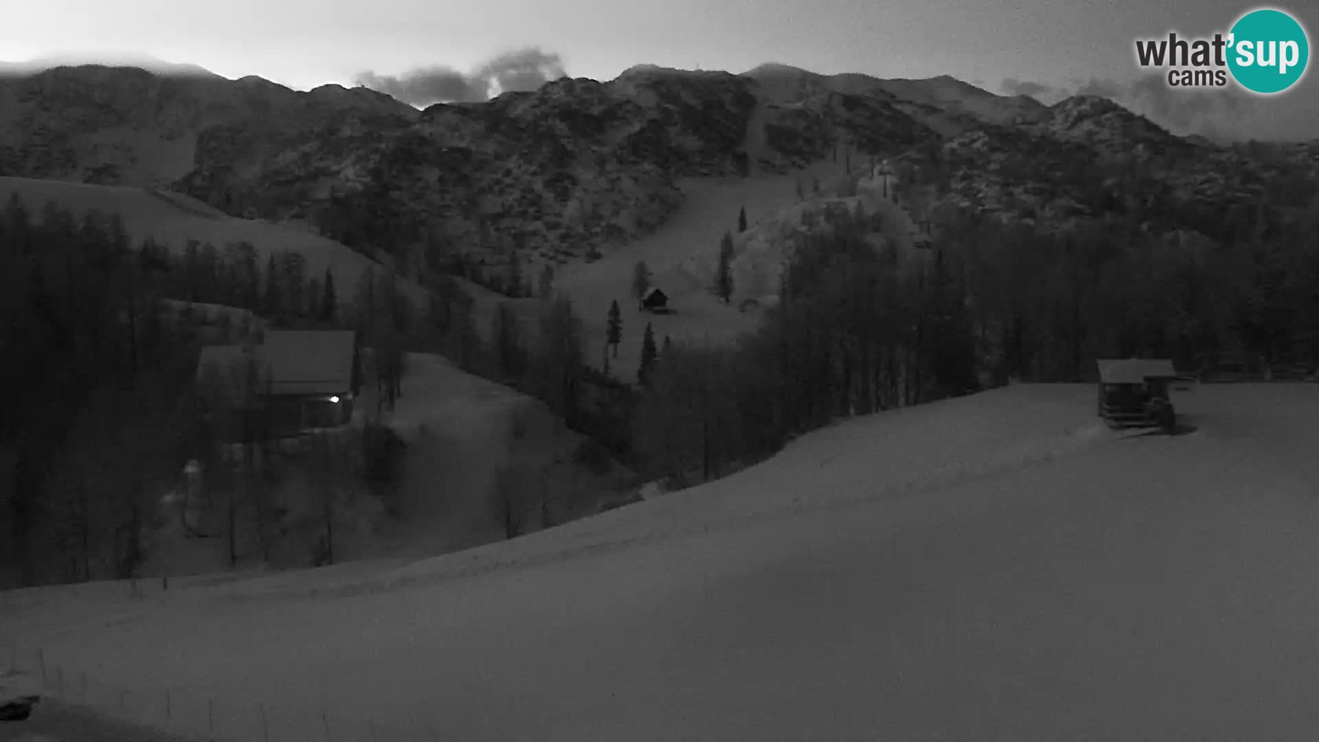 Live cam Station ski Vogel