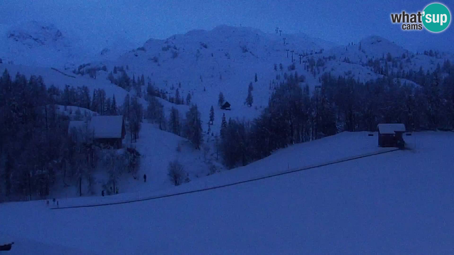 Webcam Skigebiet Vogel