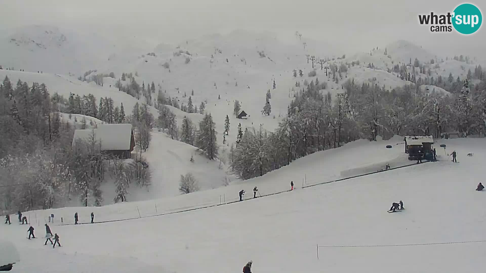 Live cam Station ski Vogel