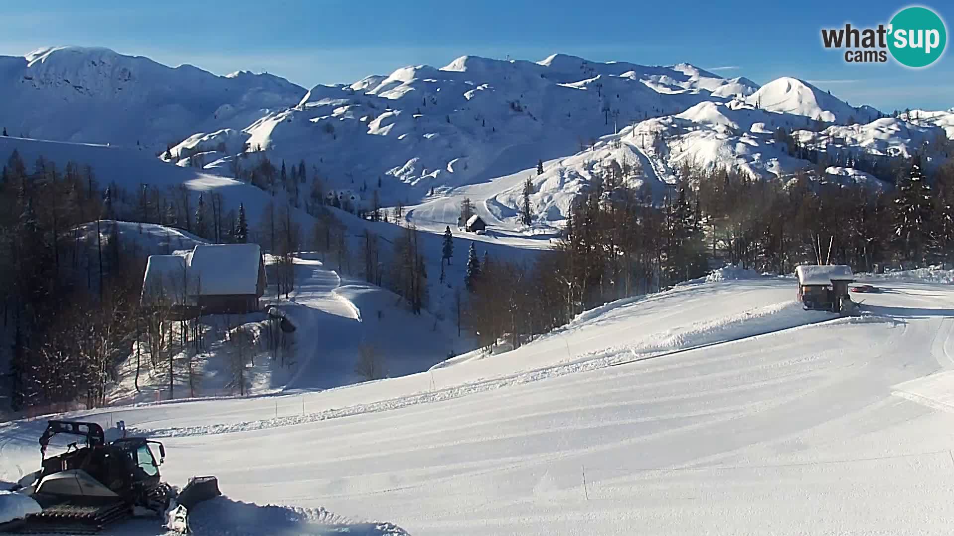 Webcam Skigebiet Vogel