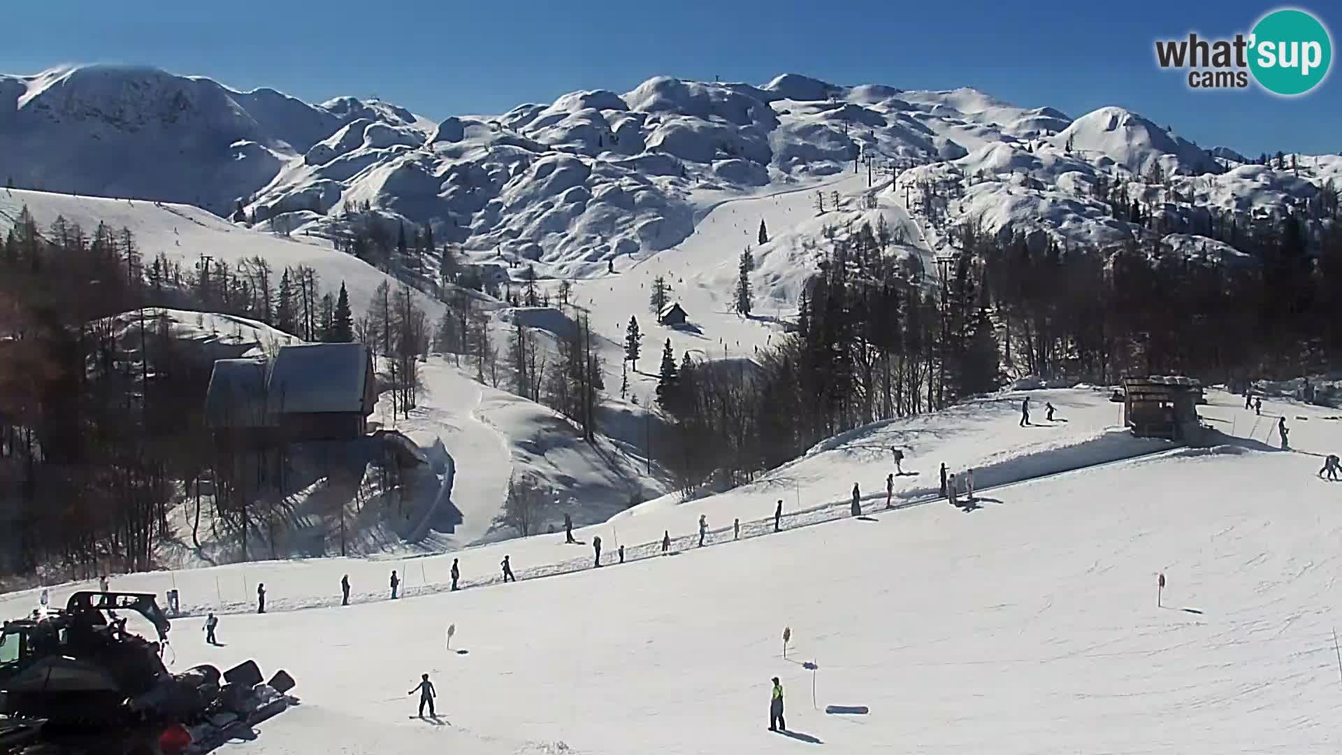 Live cam Station ski Vogel