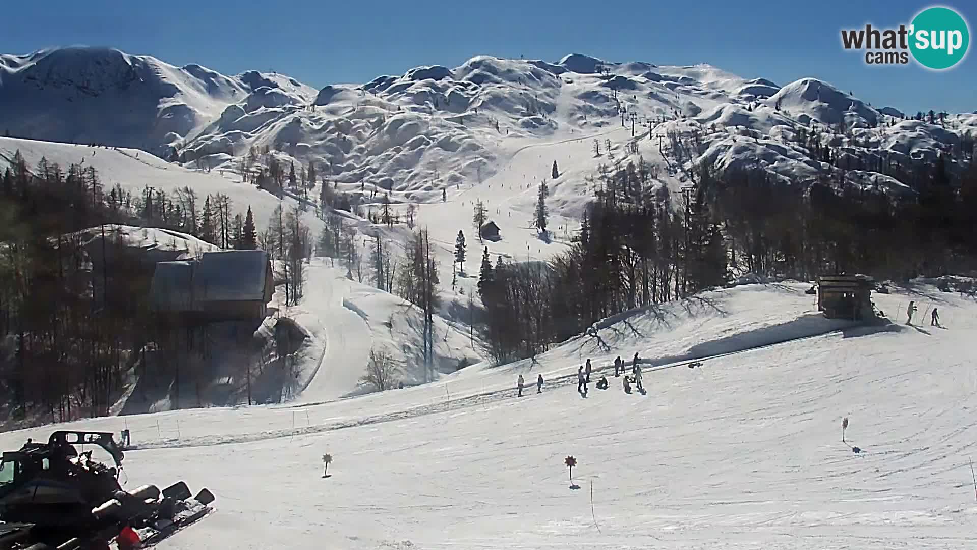 Webcam Stazione sciistica Vogel