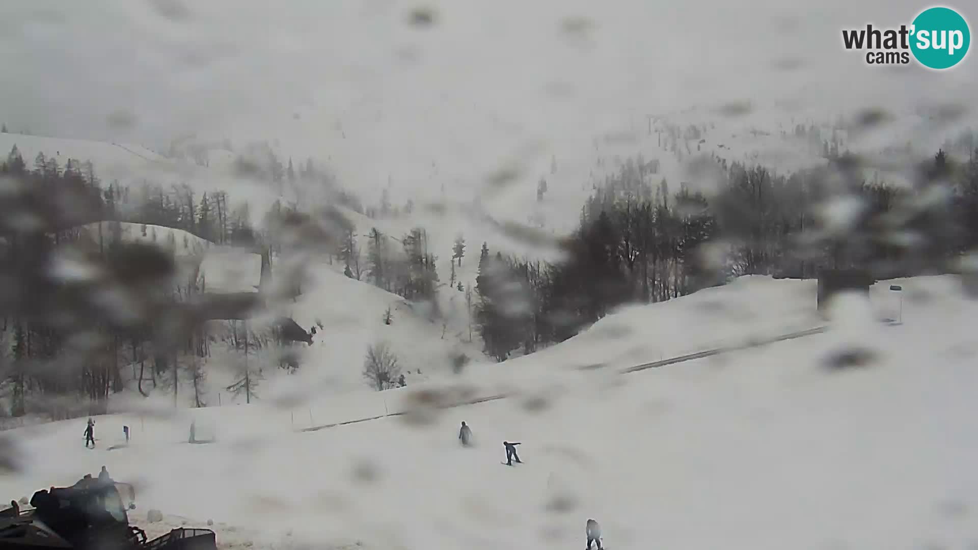 Webcam Ski resort Vogel