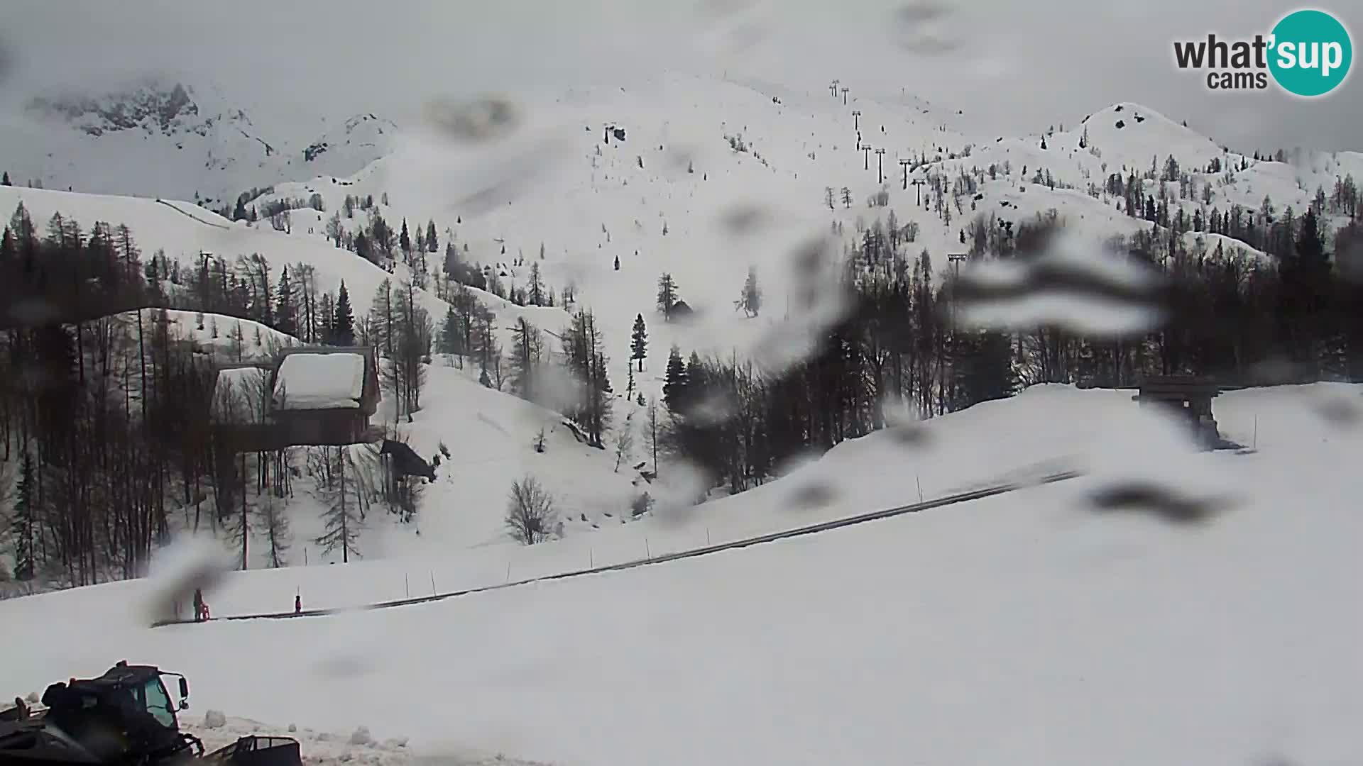 Live cam Station ski Vogel