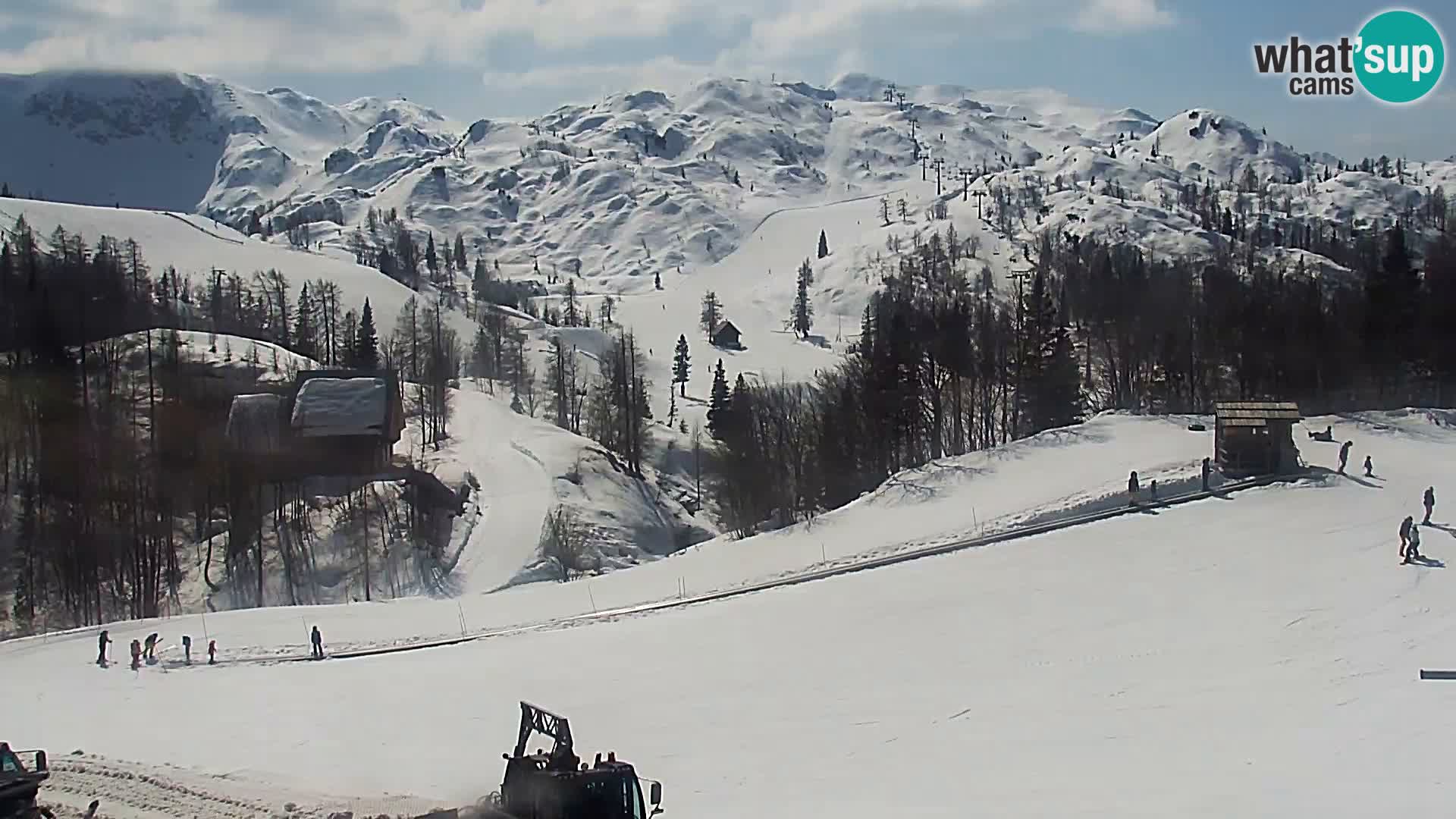 Webcam Skigebiet Vogel