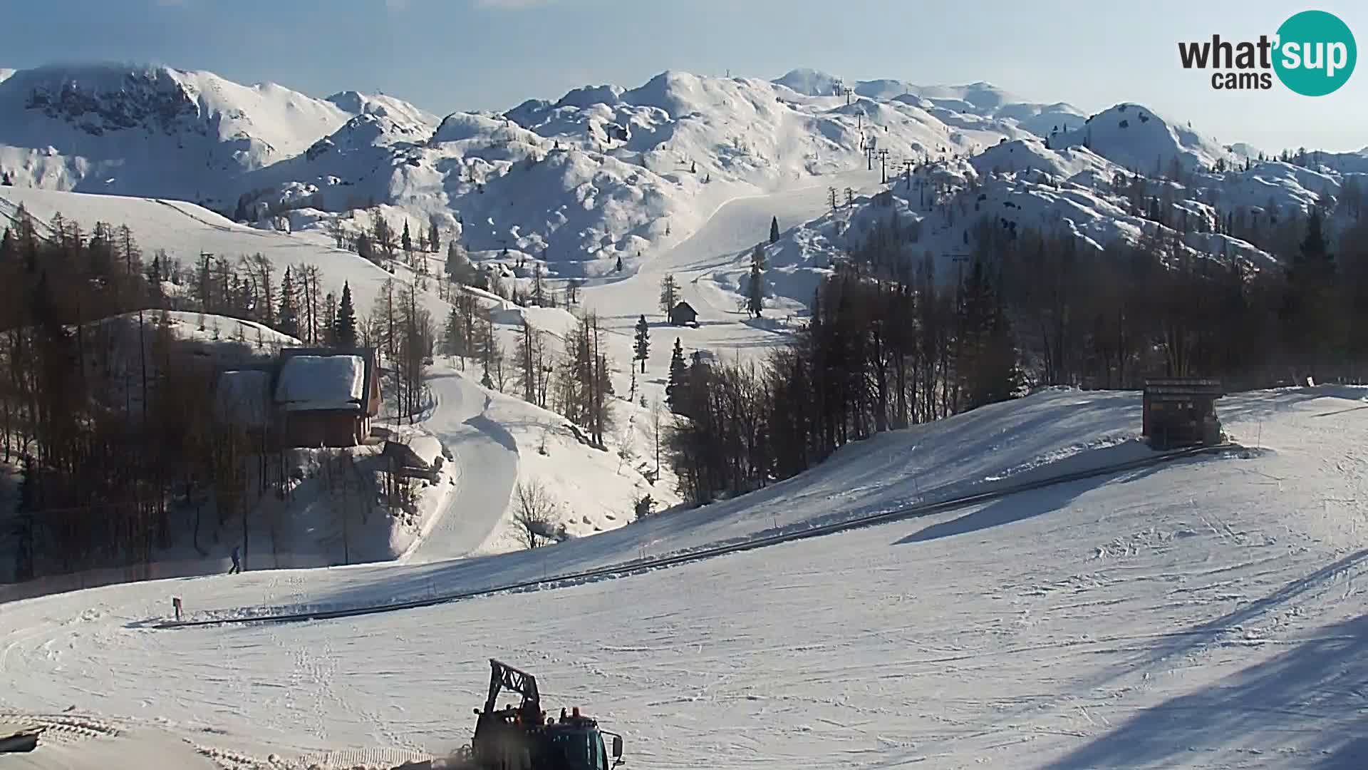 Live cam Station ski Vogel